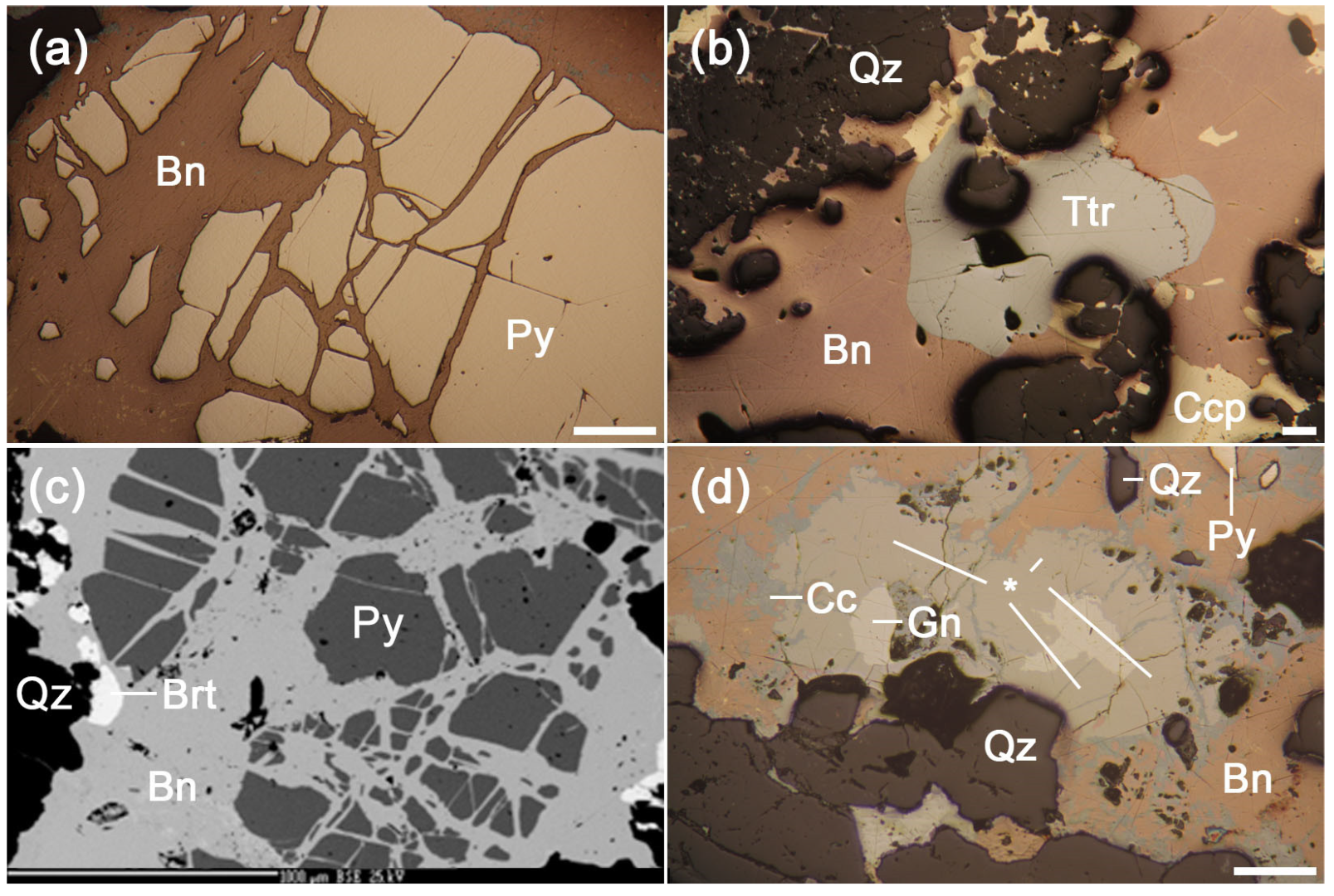 Minerals 13 00111 g007 550