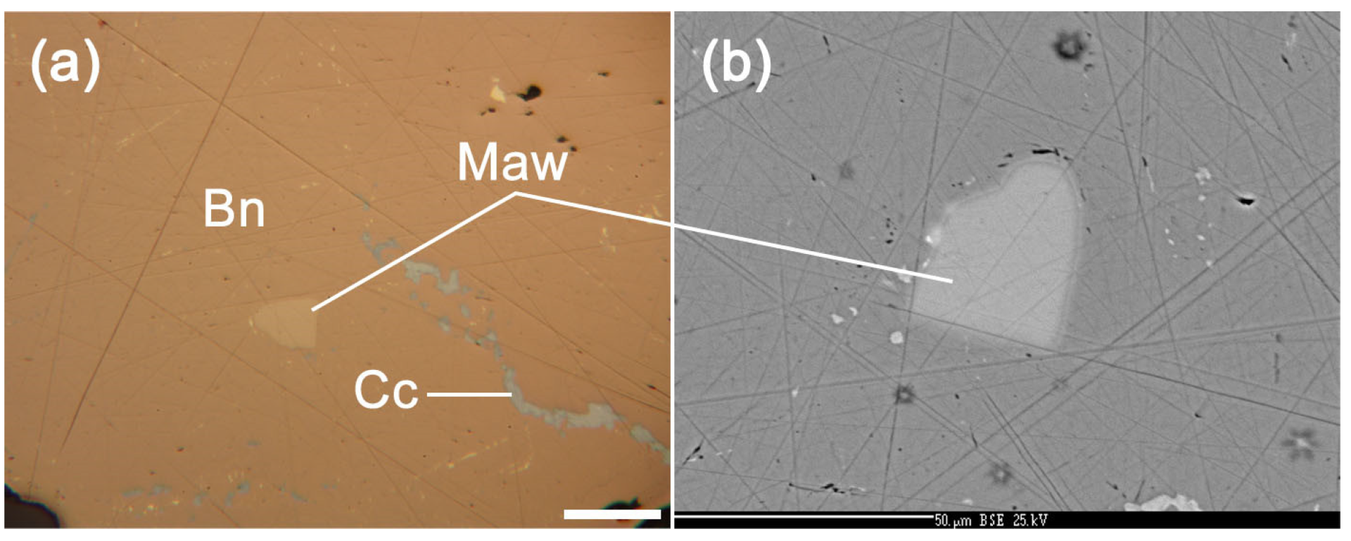Minerals 13 00111 g010 550