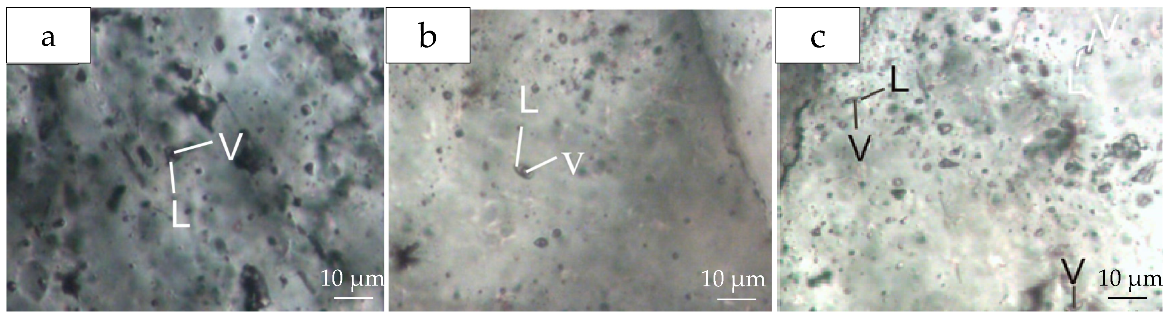 Minerals 13 00121 g007 550