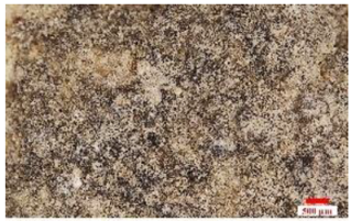 Minerals 13 00123 i014 Minerals 13 00123 i014