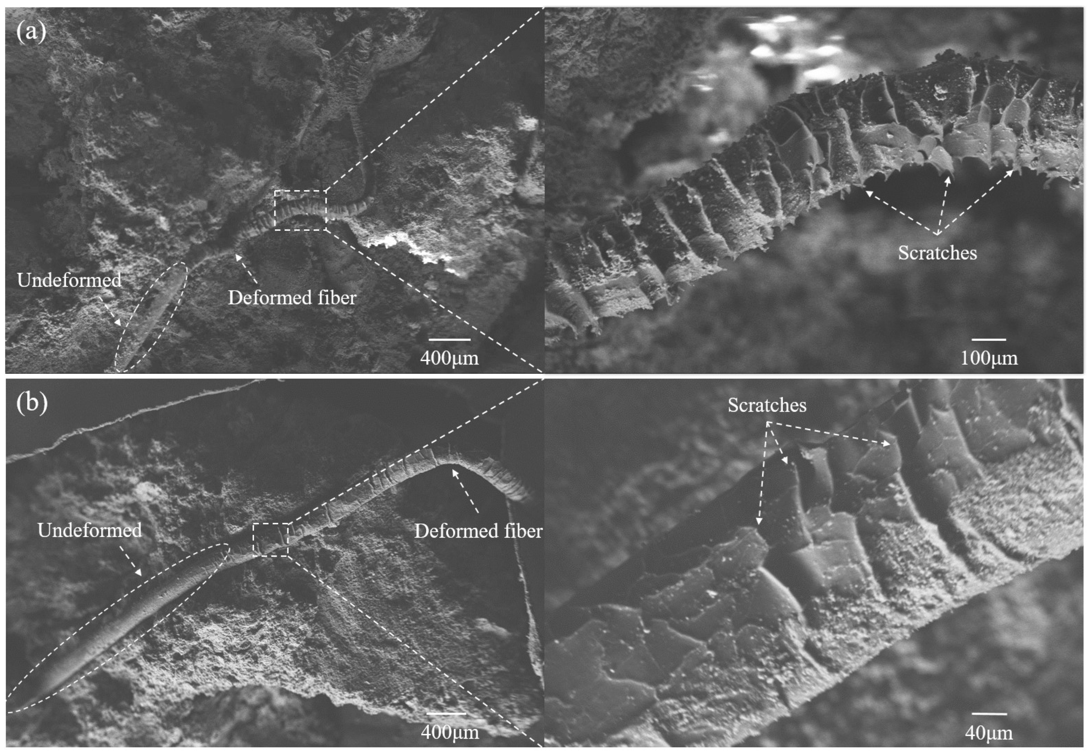 Minerals 13 00142 g012 Minerals 13 00142 g012