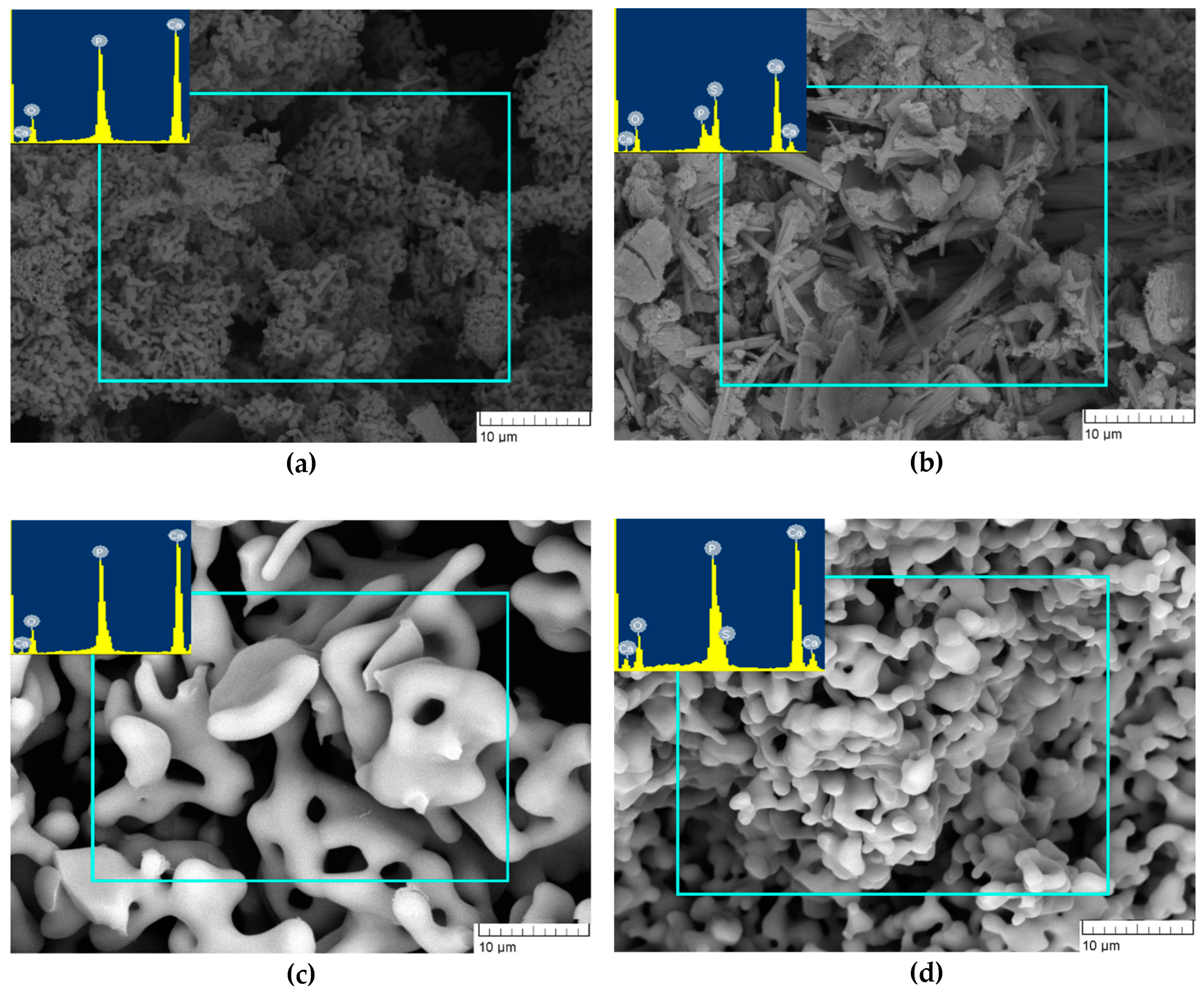 Minerals 13 00147 g006