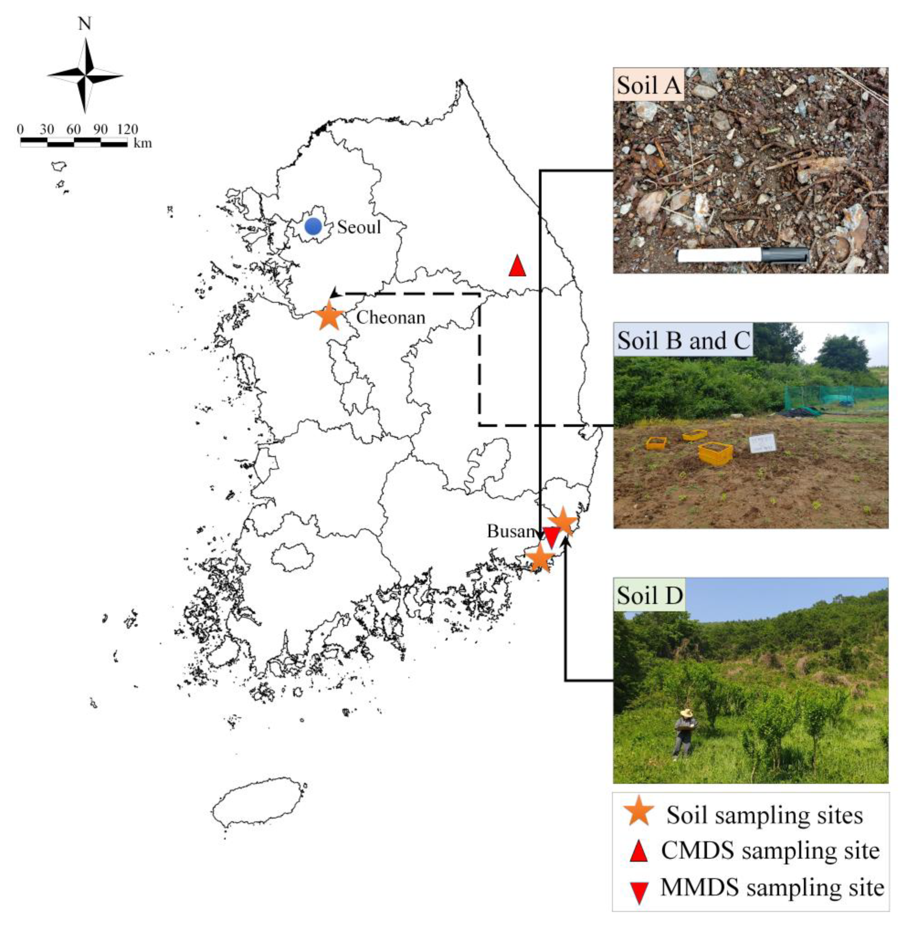 Minerals 13 00148 g001 Minerals 13 00148 g001