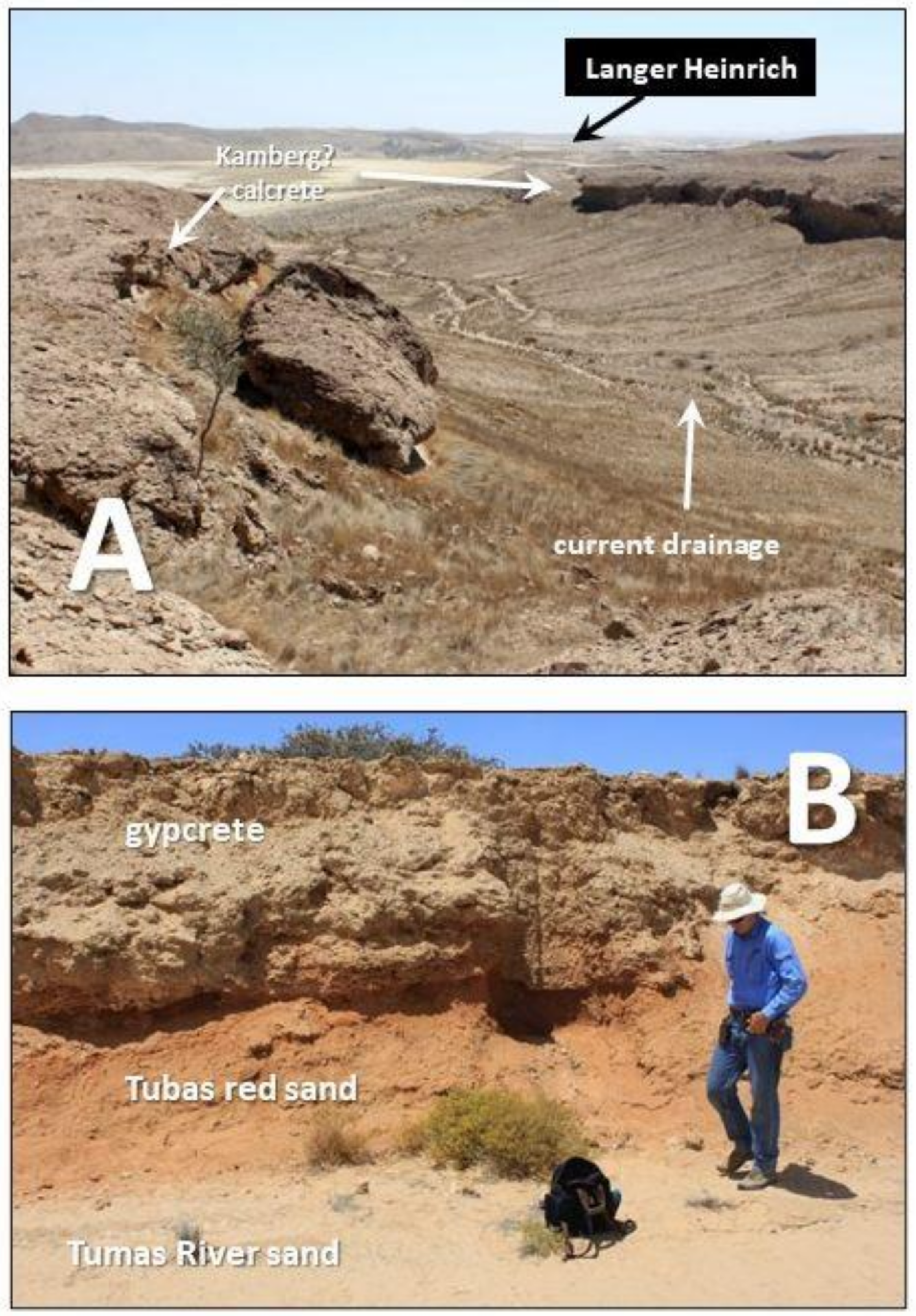 Minerals 13 00149 g003