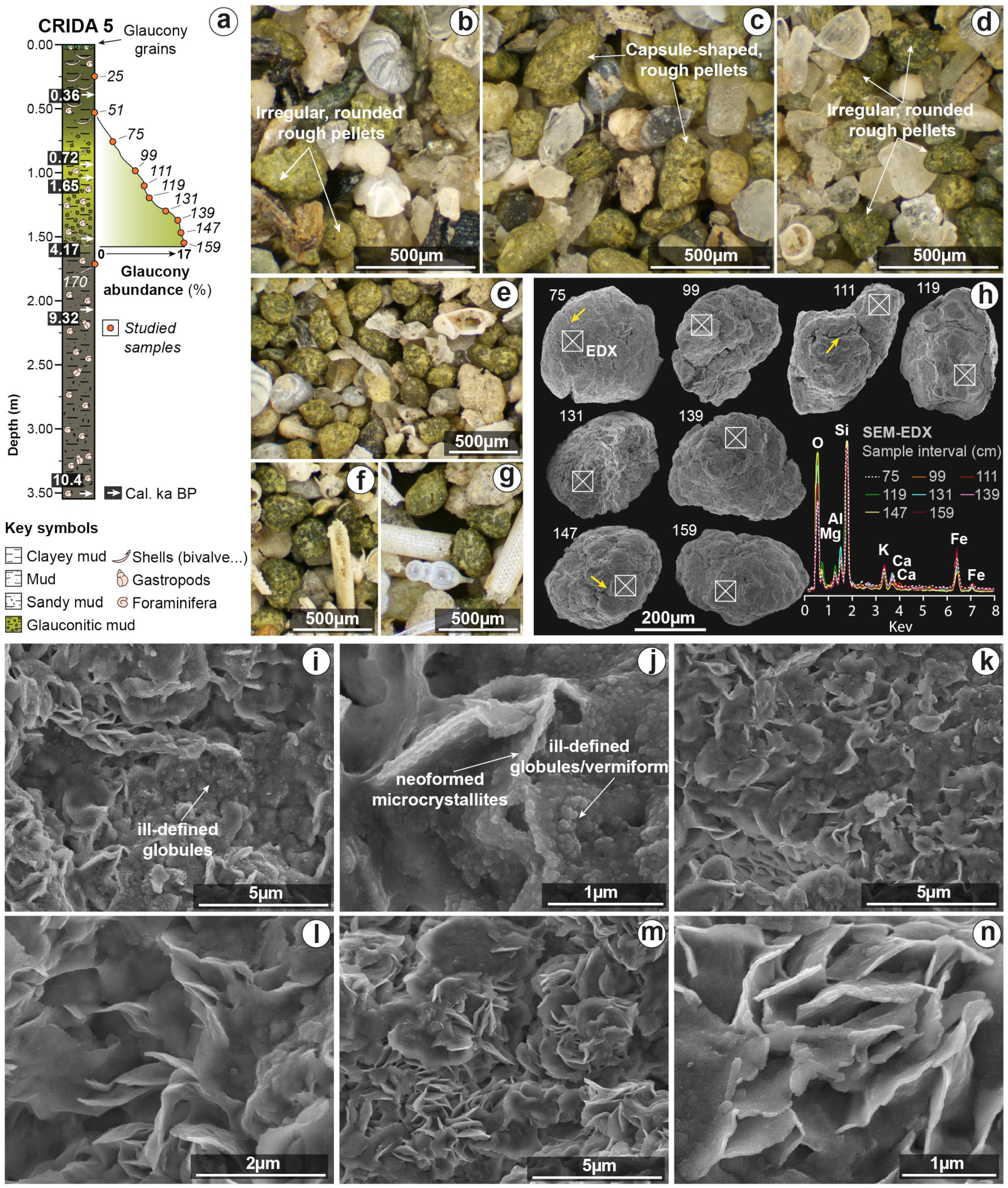 Minerals 13 00177 g003 Minerals 13 00177 g003