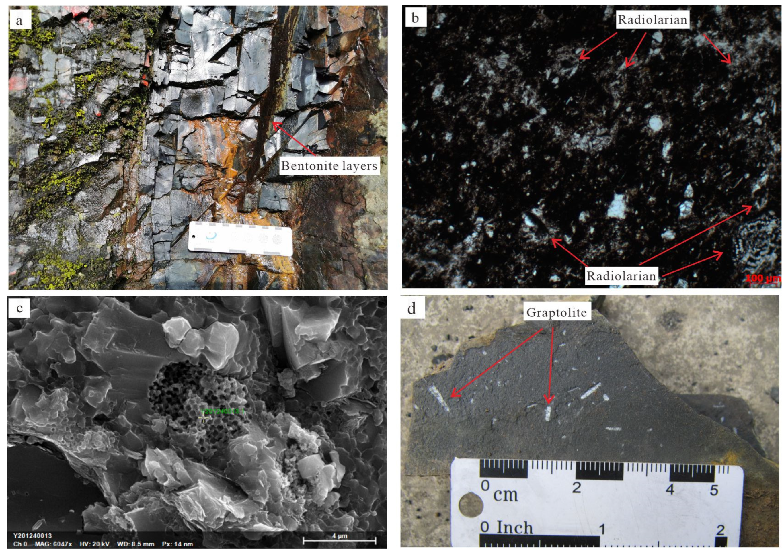 Minerals 13 00194 g004