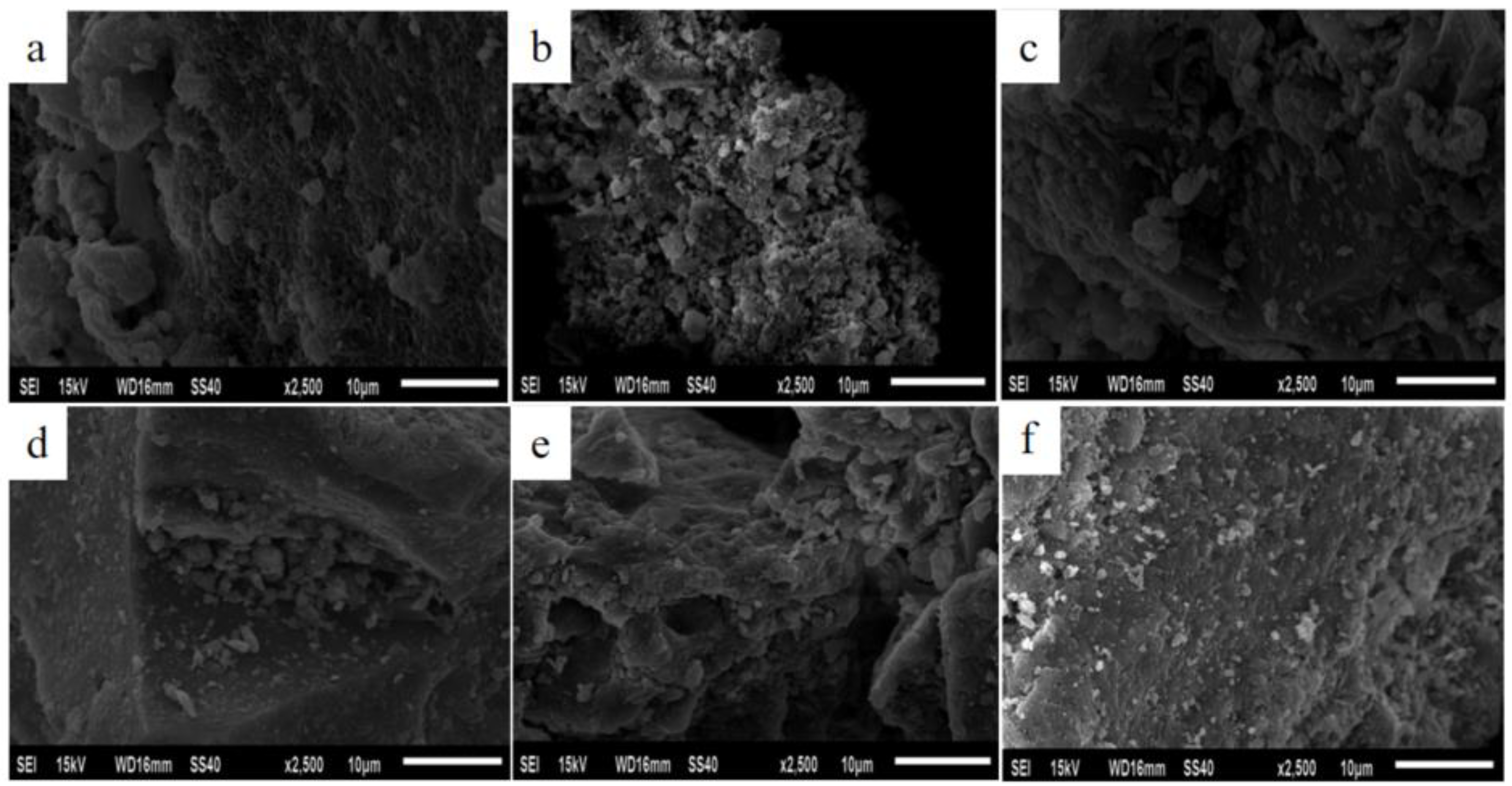 Minerals 13 00197 g003