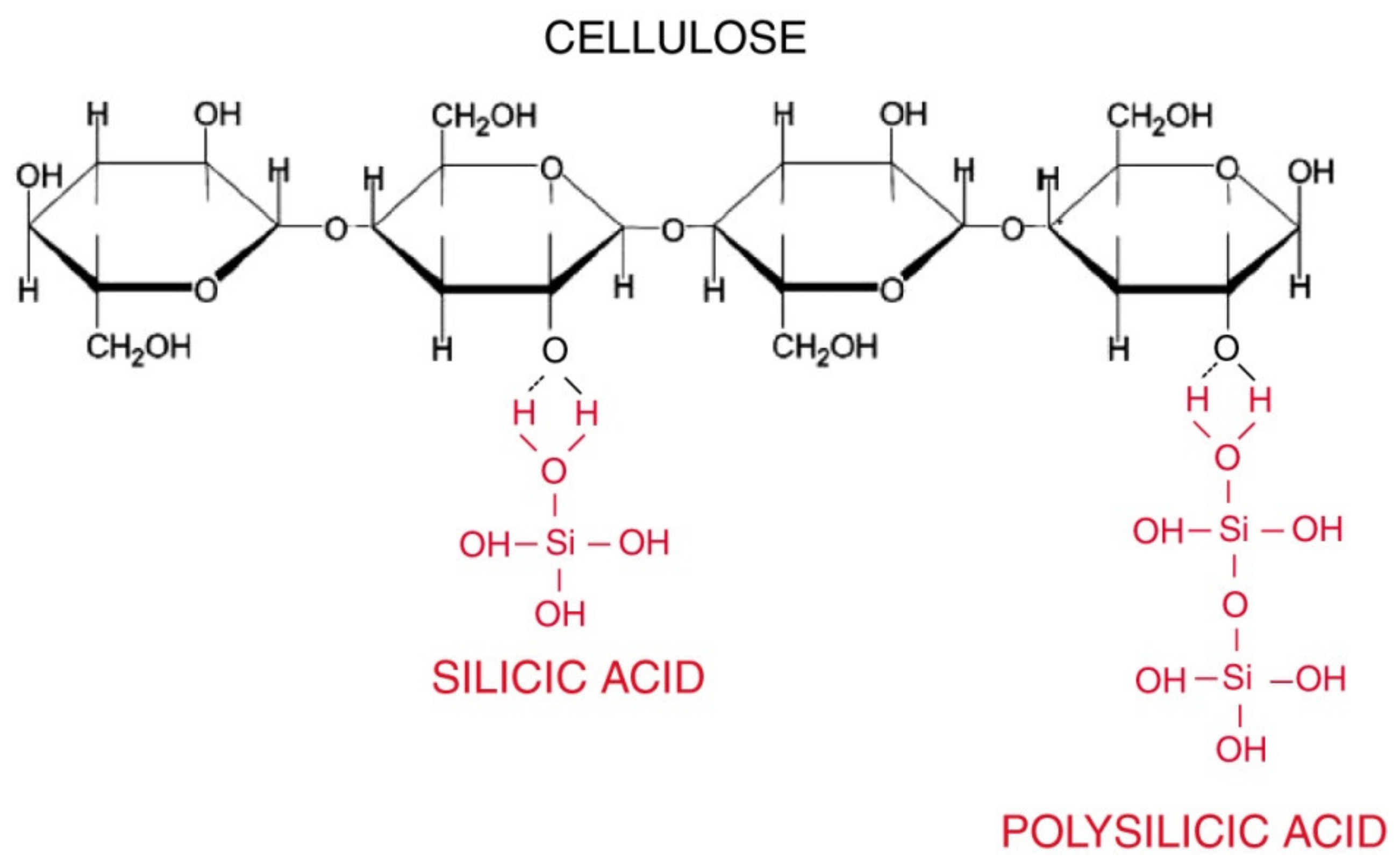 Minerals 13 00206 g002 Minerals 13 00206 g002