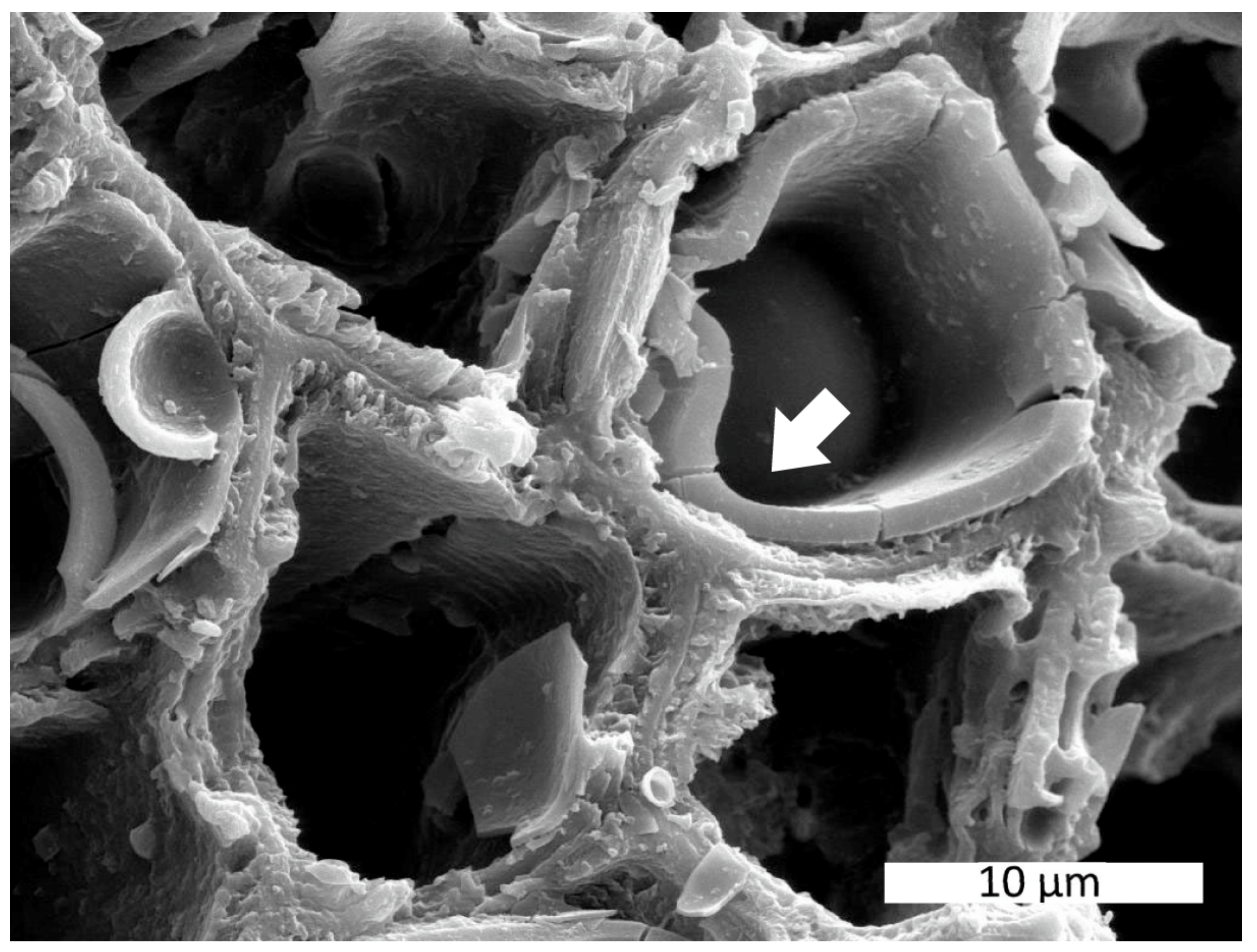 Minerals 13 00206 g003 Minerals 13 00206 g003