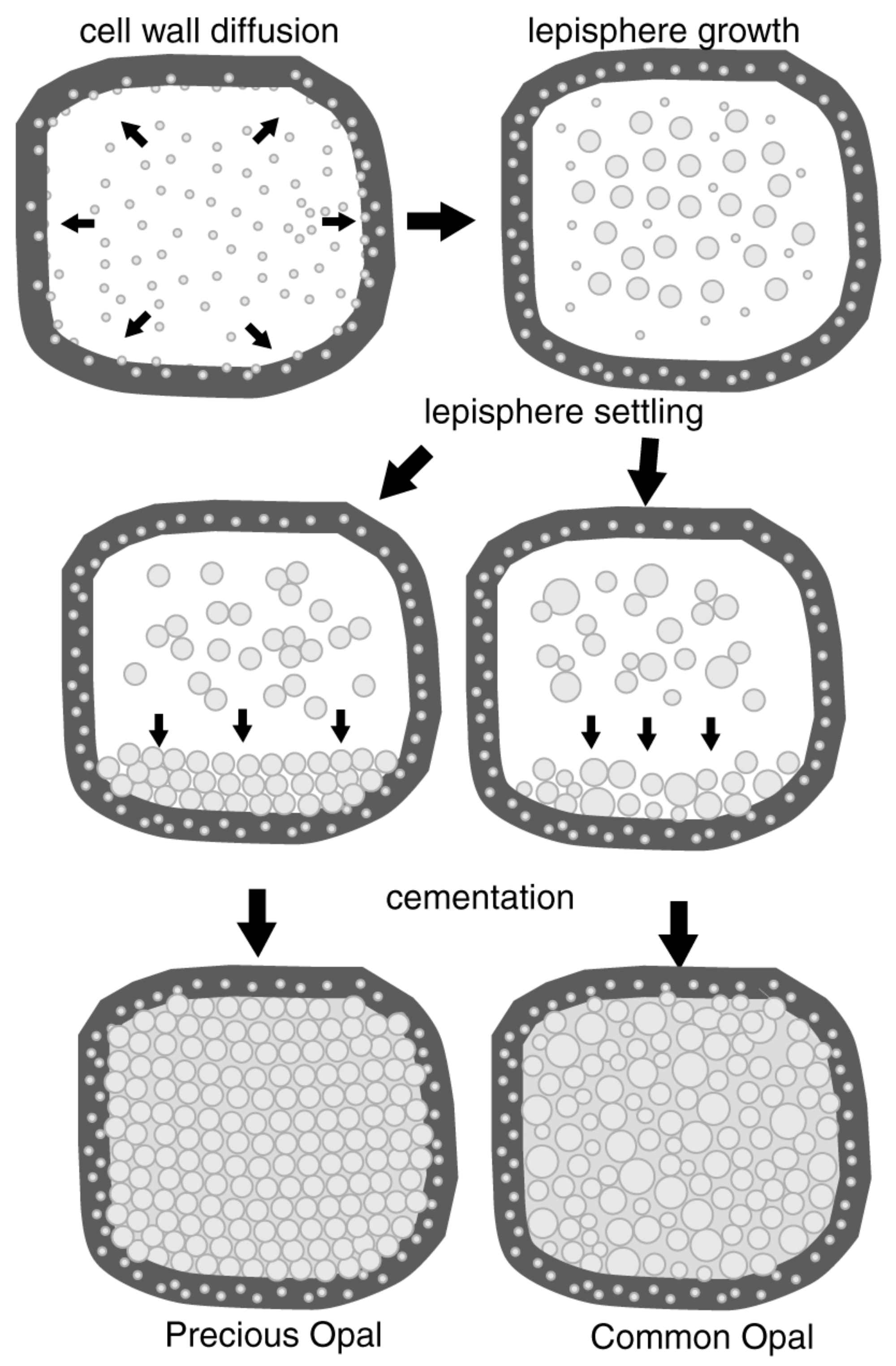 Minerals 13 00206 g004 Minerals 13 00206 g004