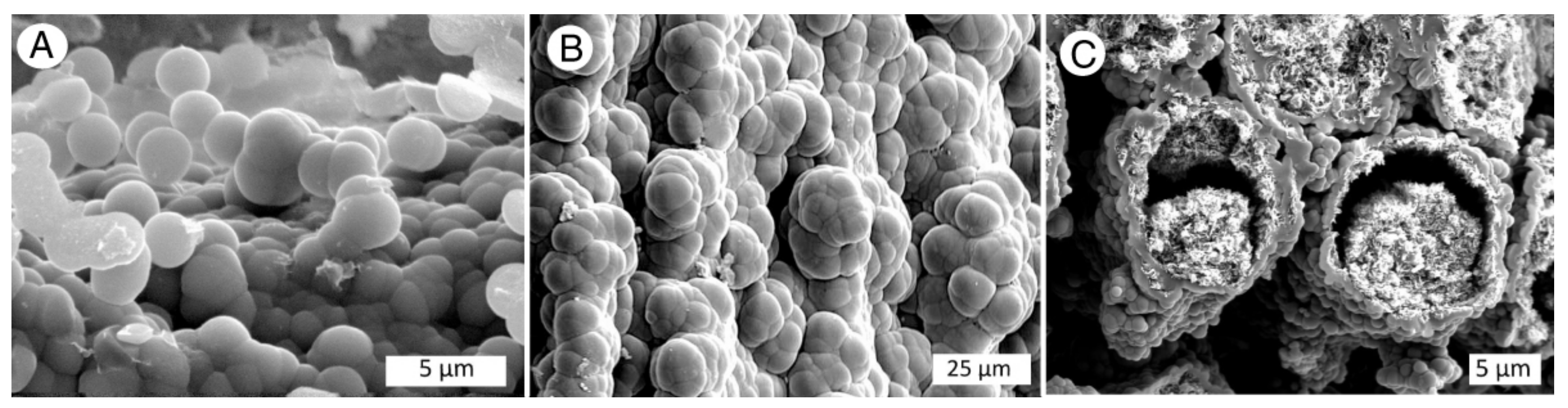 Minerals 13 00206 g007 Minerals 13 00206 g007