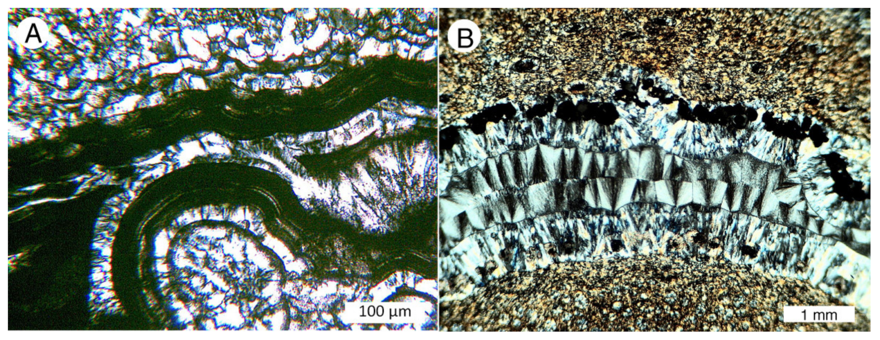 Minerals 13 00206 g009 Minerals 13 00206 g009