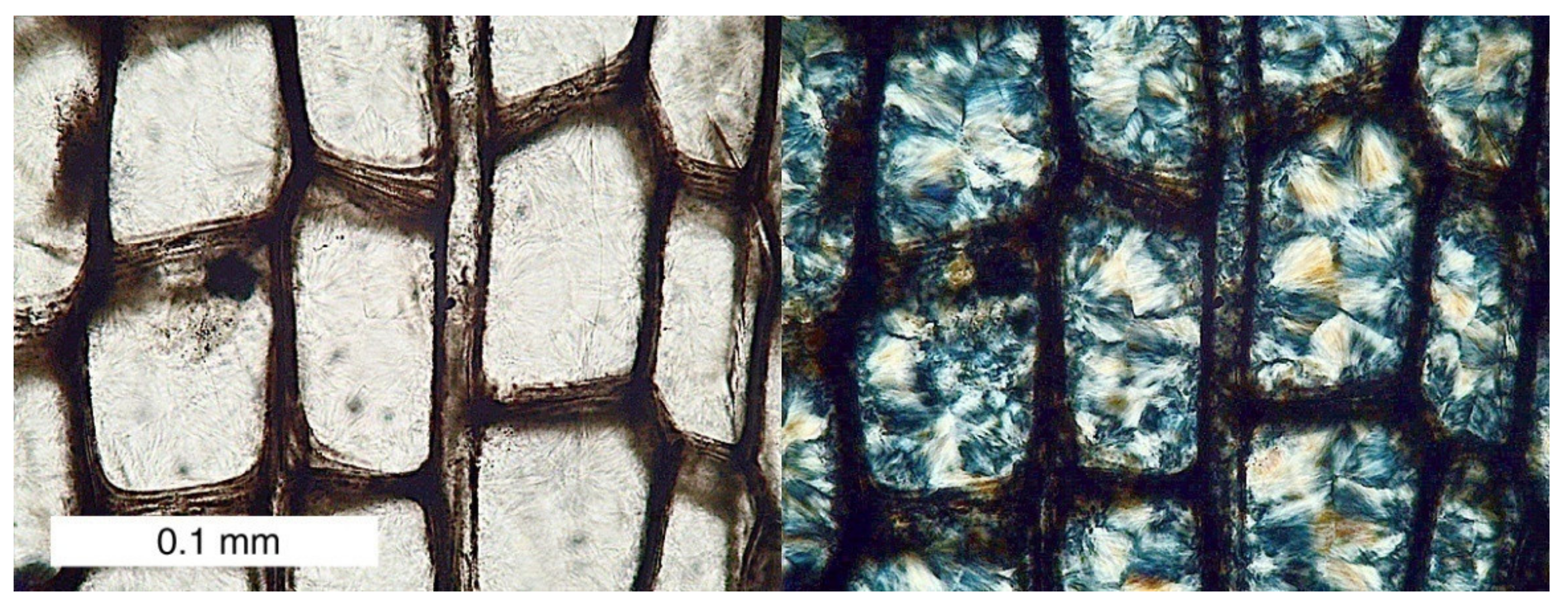 Minerals 13 00206 g011 Minerals 13 00206 g011