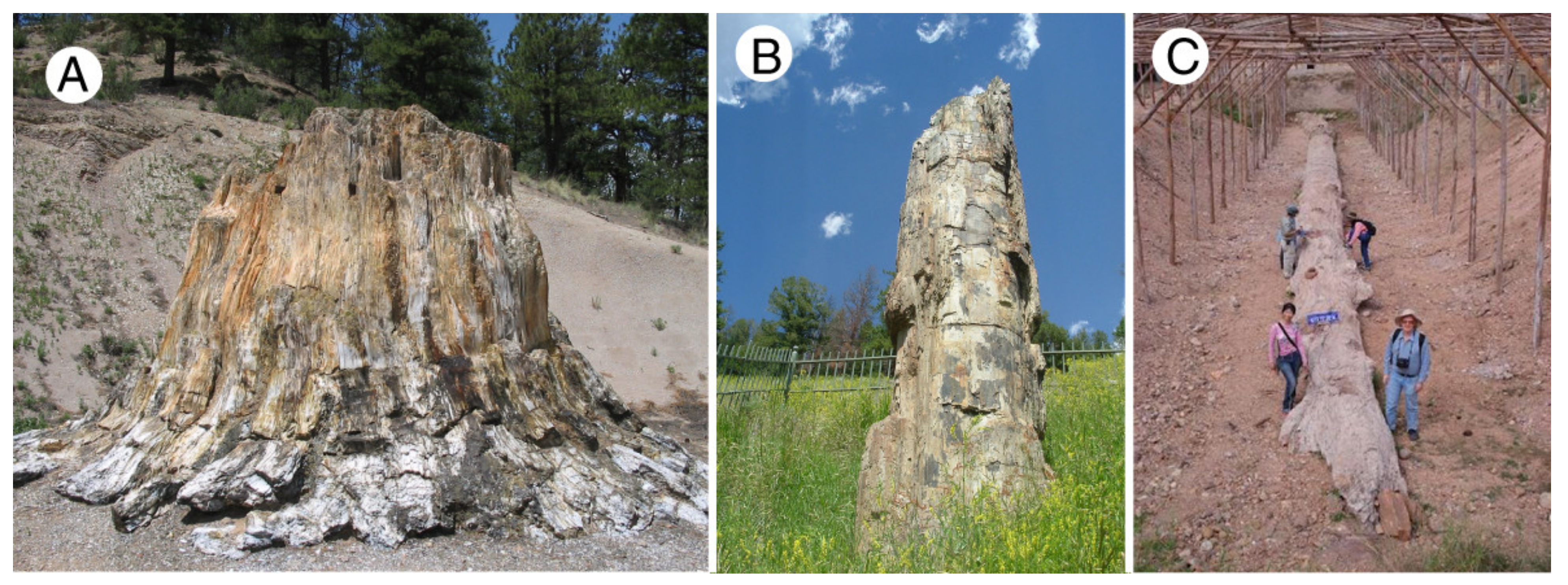 Minerals 13 00206 g013 Minerals 13 00206 g013