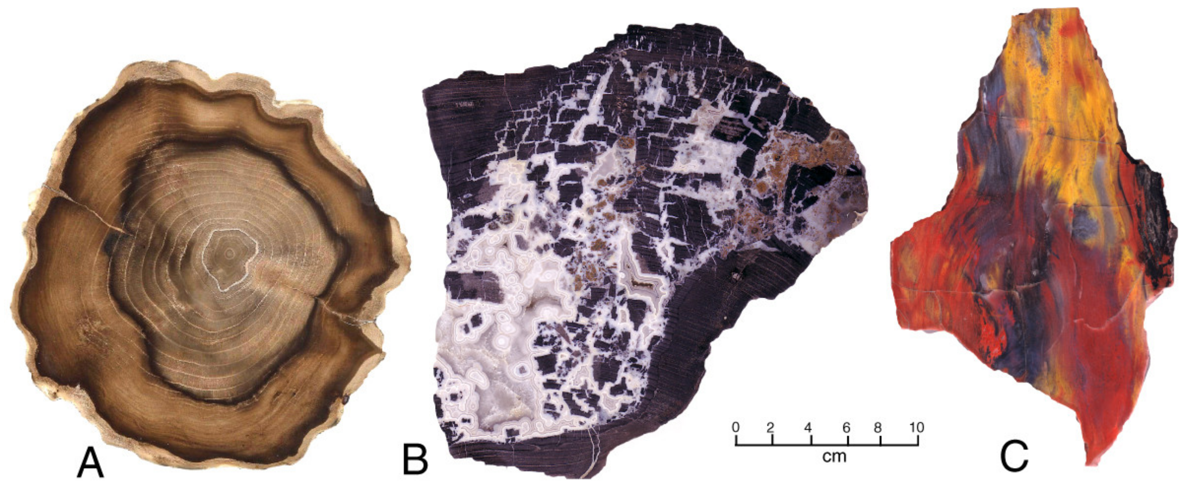 Minerals 13 00206 g015 Minerals 13 00206 g015