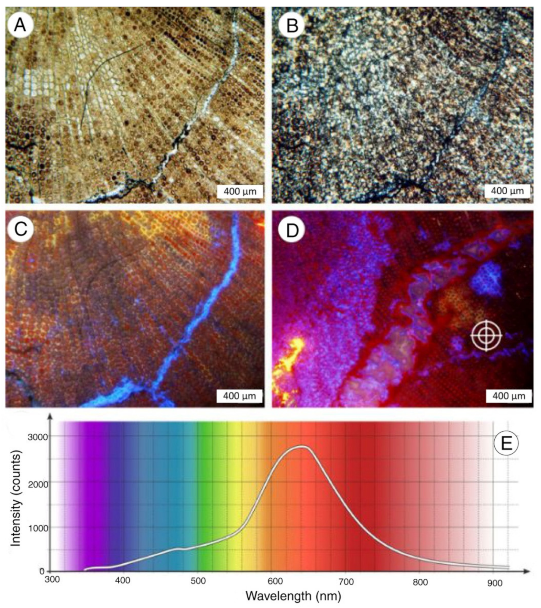 Minerals 13 00206 g016 Minerals 13 00206 g016
