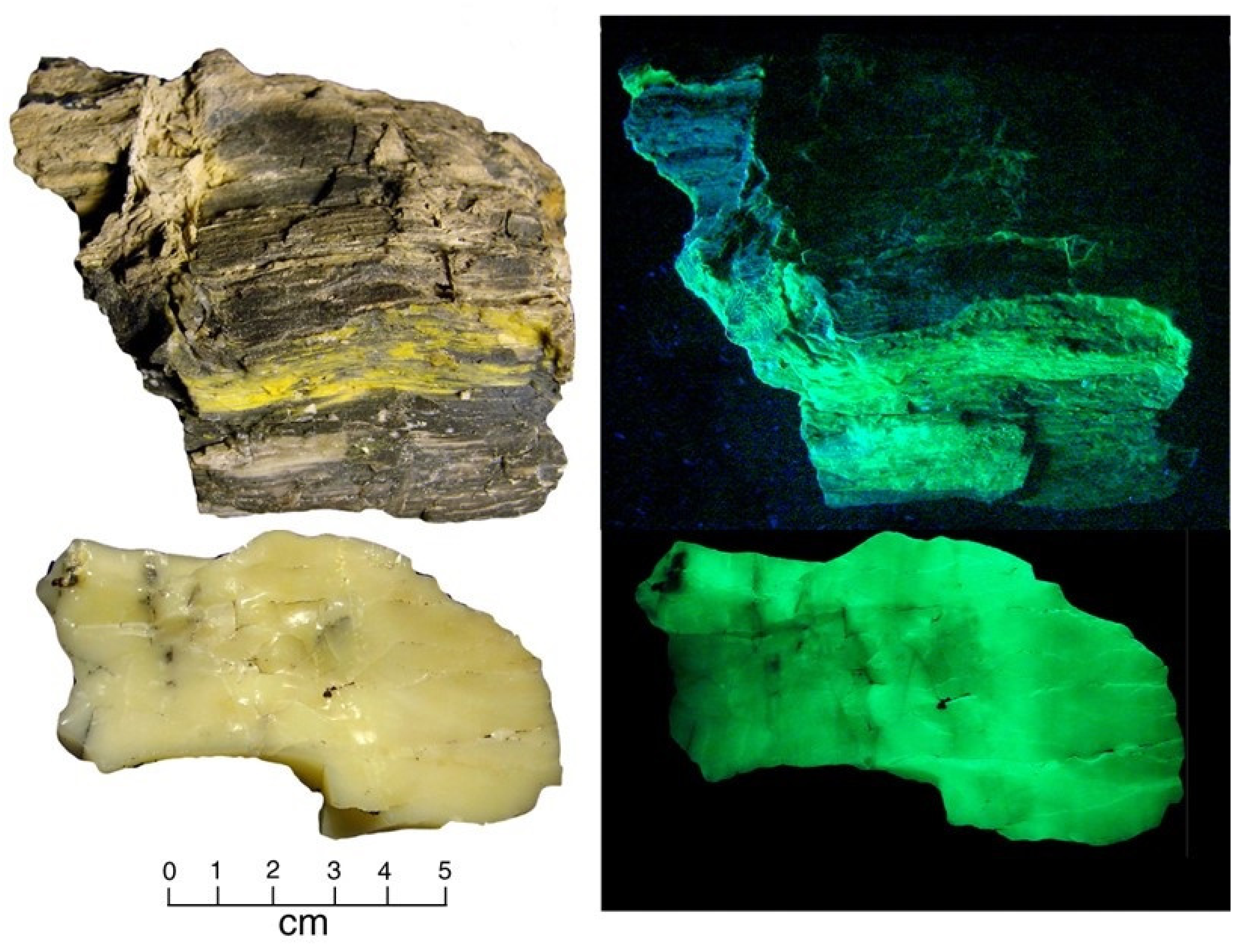 Minerals 13 00206 g017 Minerals 13 00206 g017