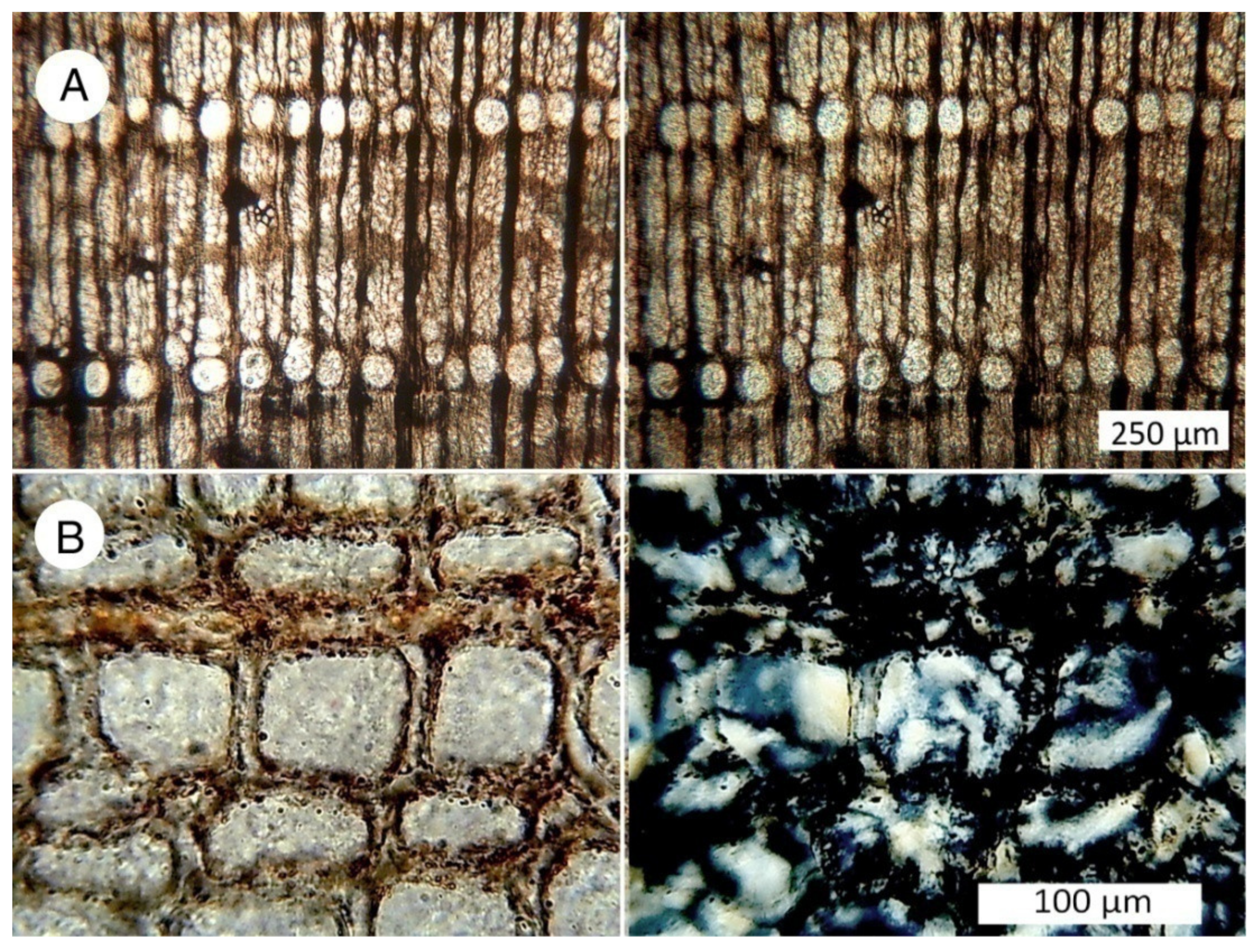 Minerals 13 00206 g022 Minerals 13 00206 g022