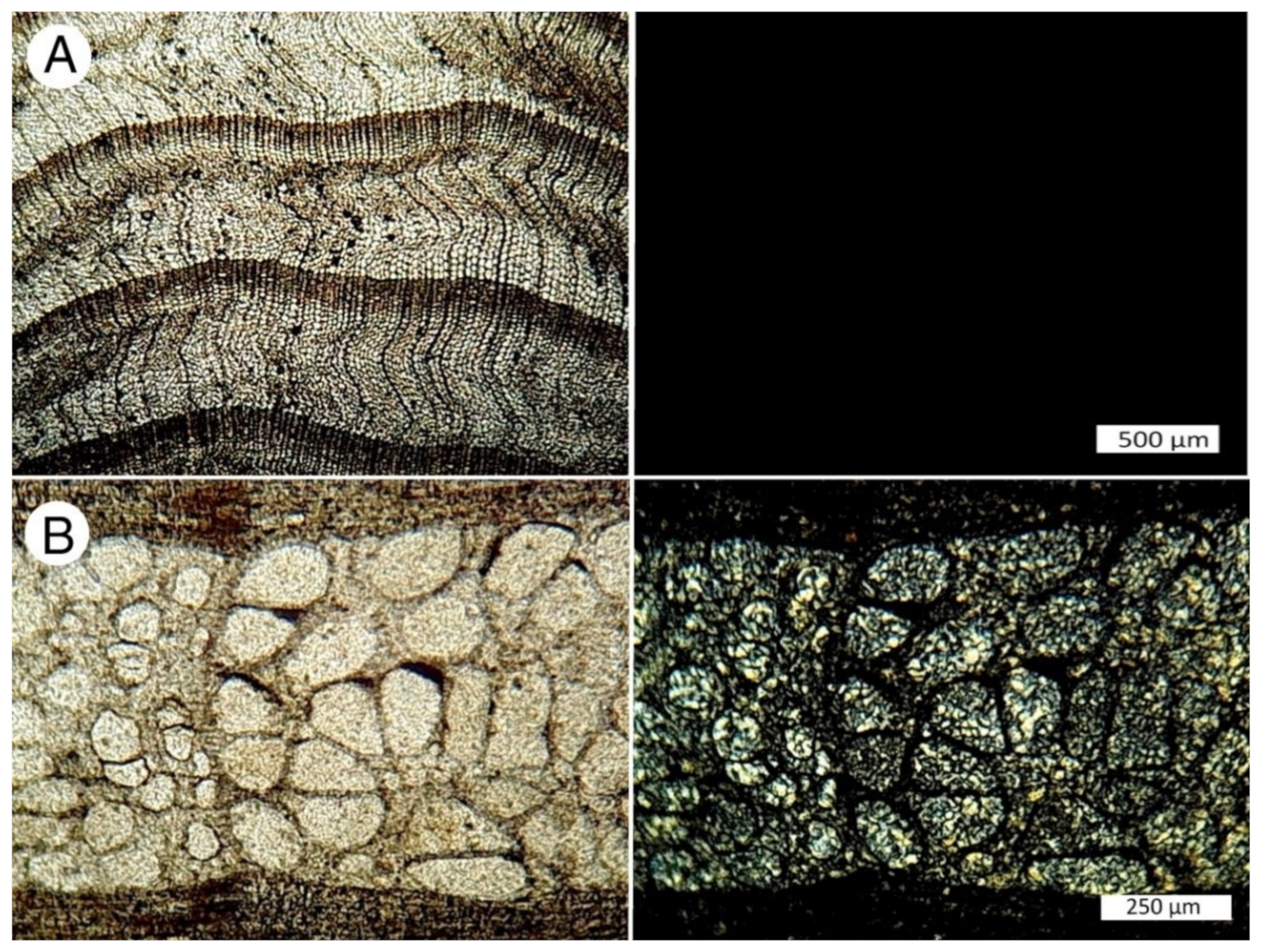 Minerals 13 00206 g023 Minerals 13 00206 g023