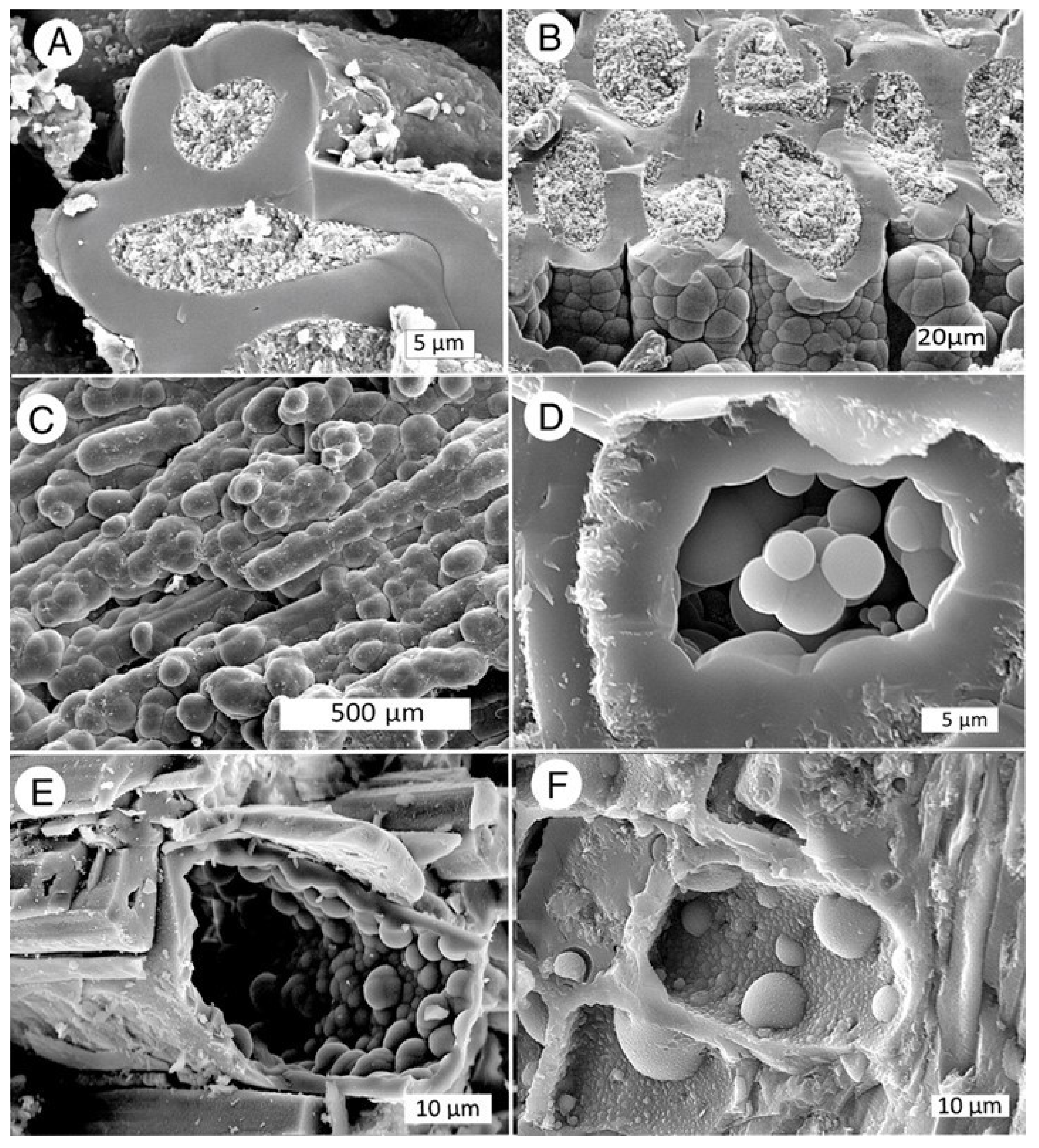 Minerals 13 00206 g025 Minerals 13 00206 g025