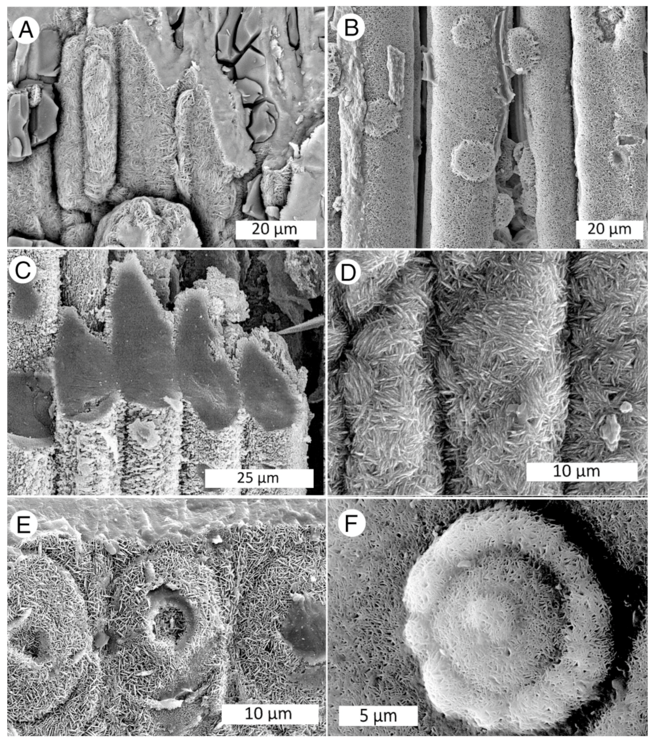 Minerals 13 00206 g026 Minerals 13 00206 g026