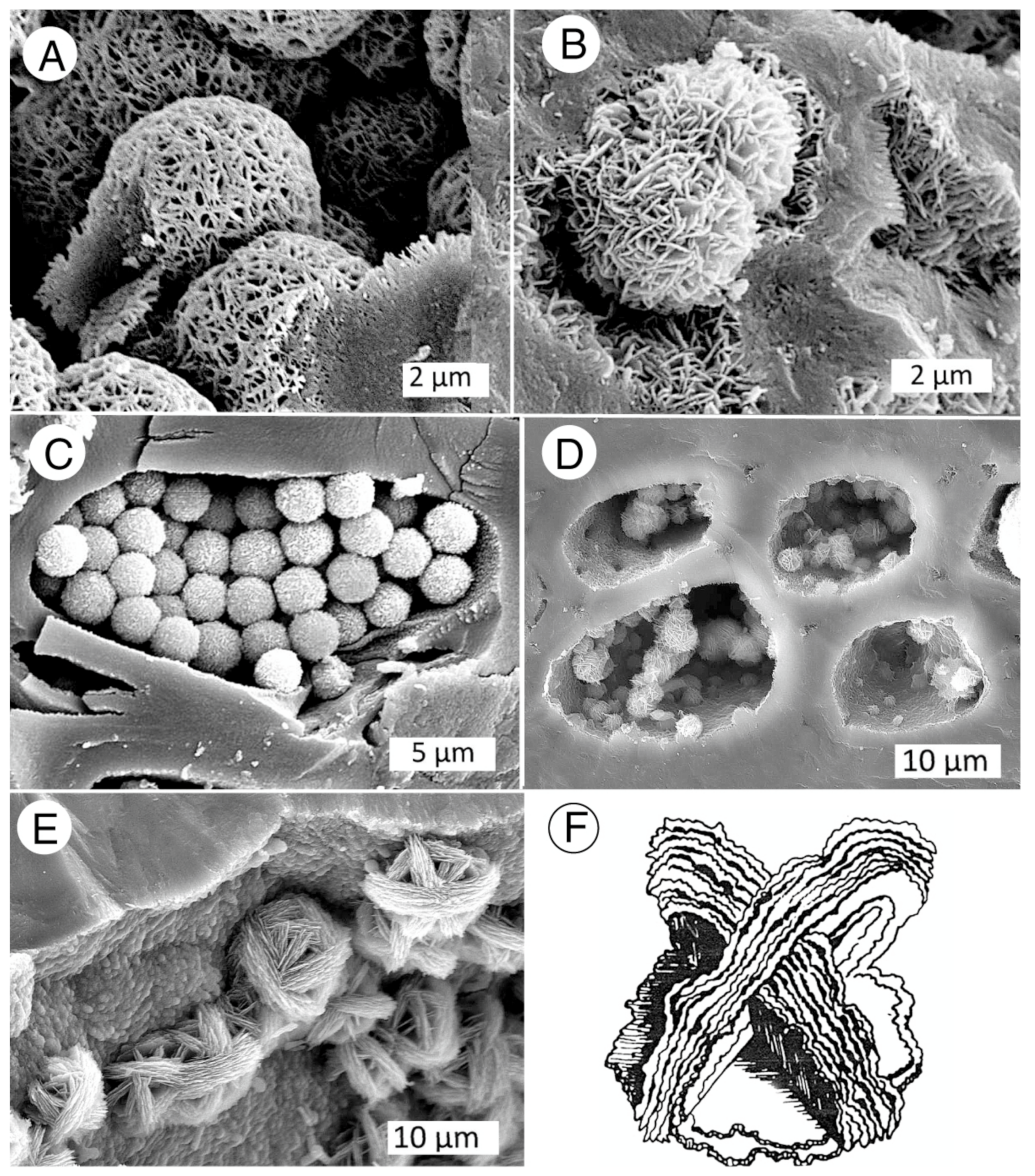 Minerals 13 00206 g027 Minerals 13 00206 g027