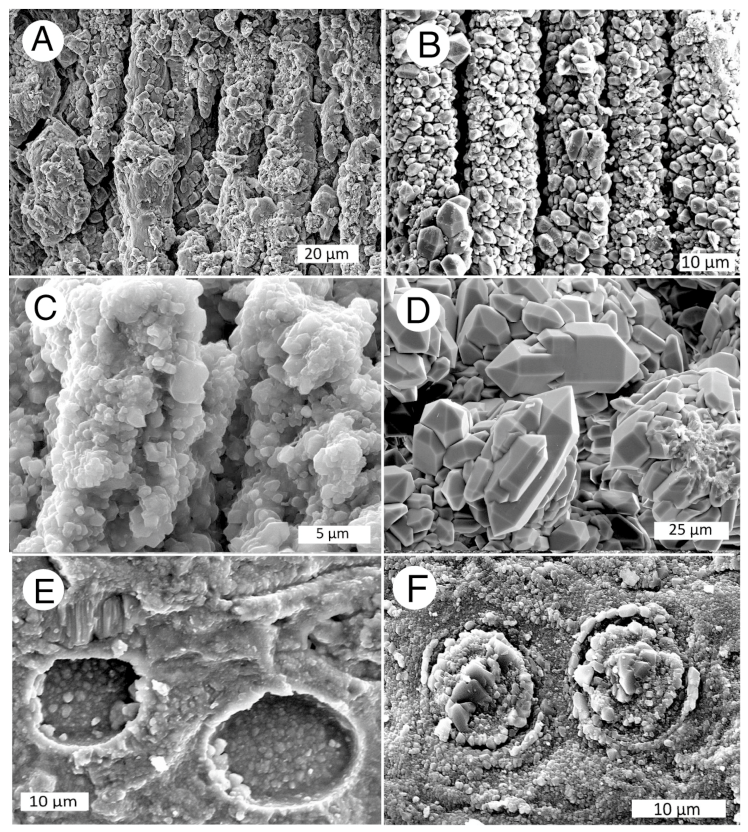 Minerals 13 00206 g031 Minerals 13 00206 g031