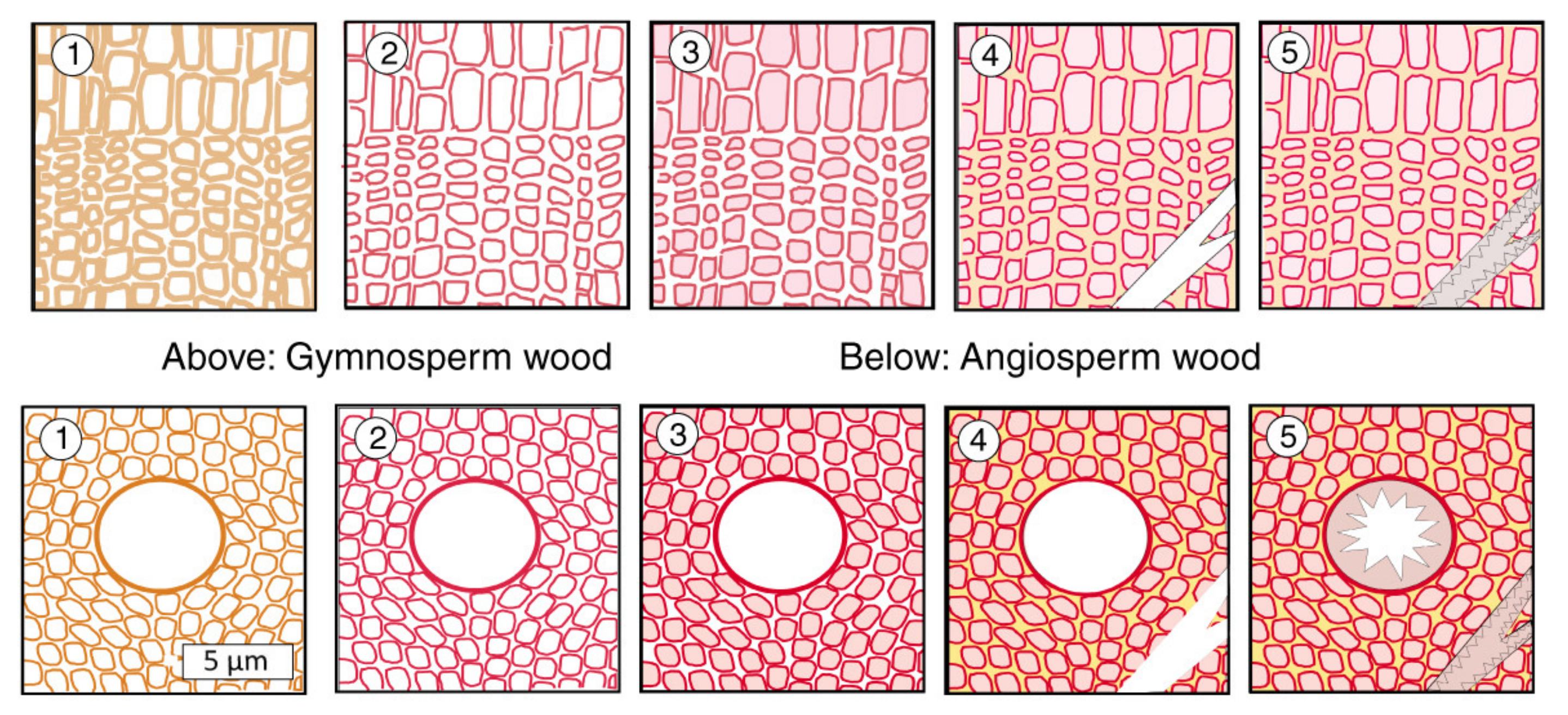 Minerals 13 00206 g032 Minerals 13 00206 g032