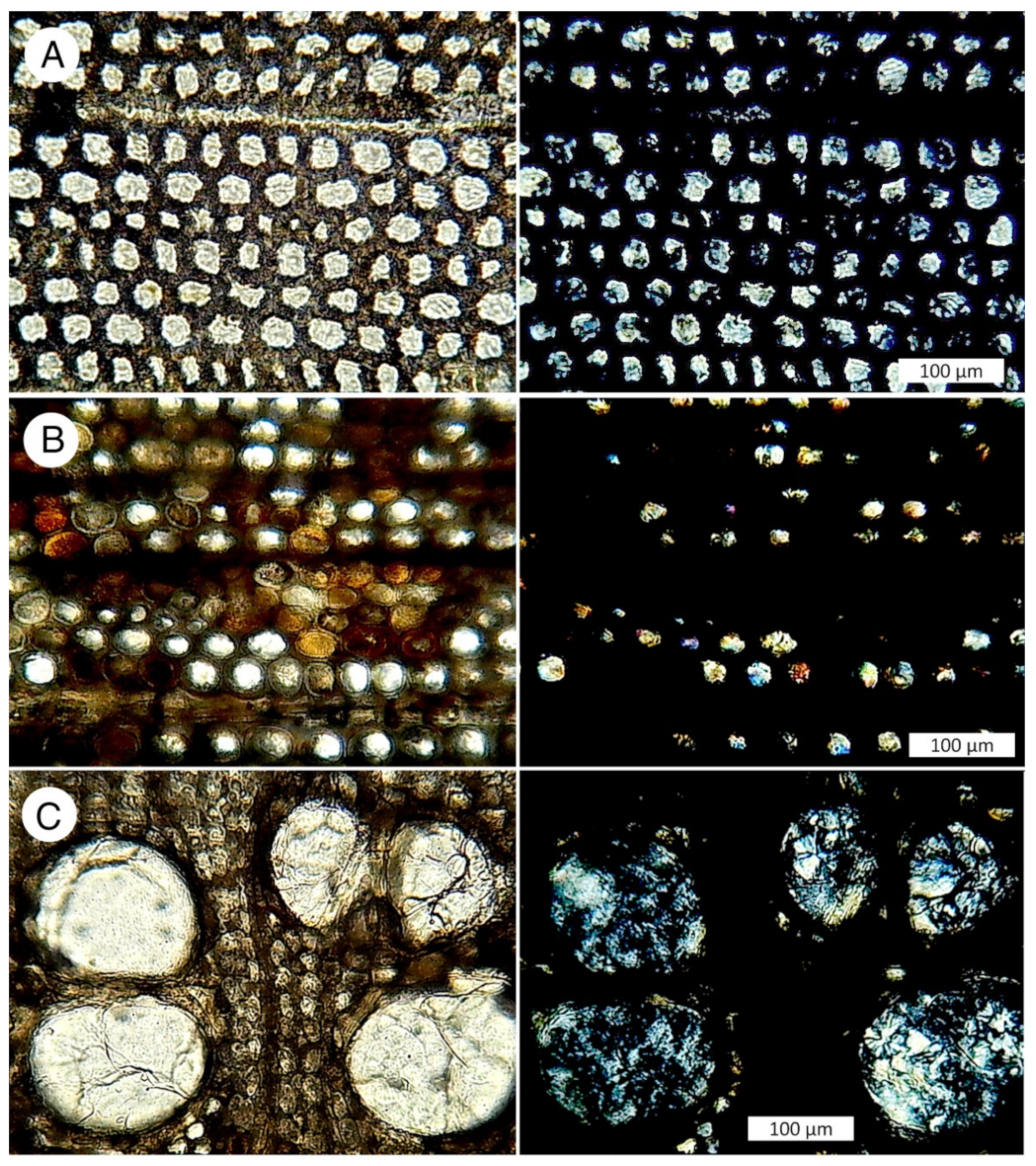 Minerals 13 00206 g034 Minerals 13 00206 g034