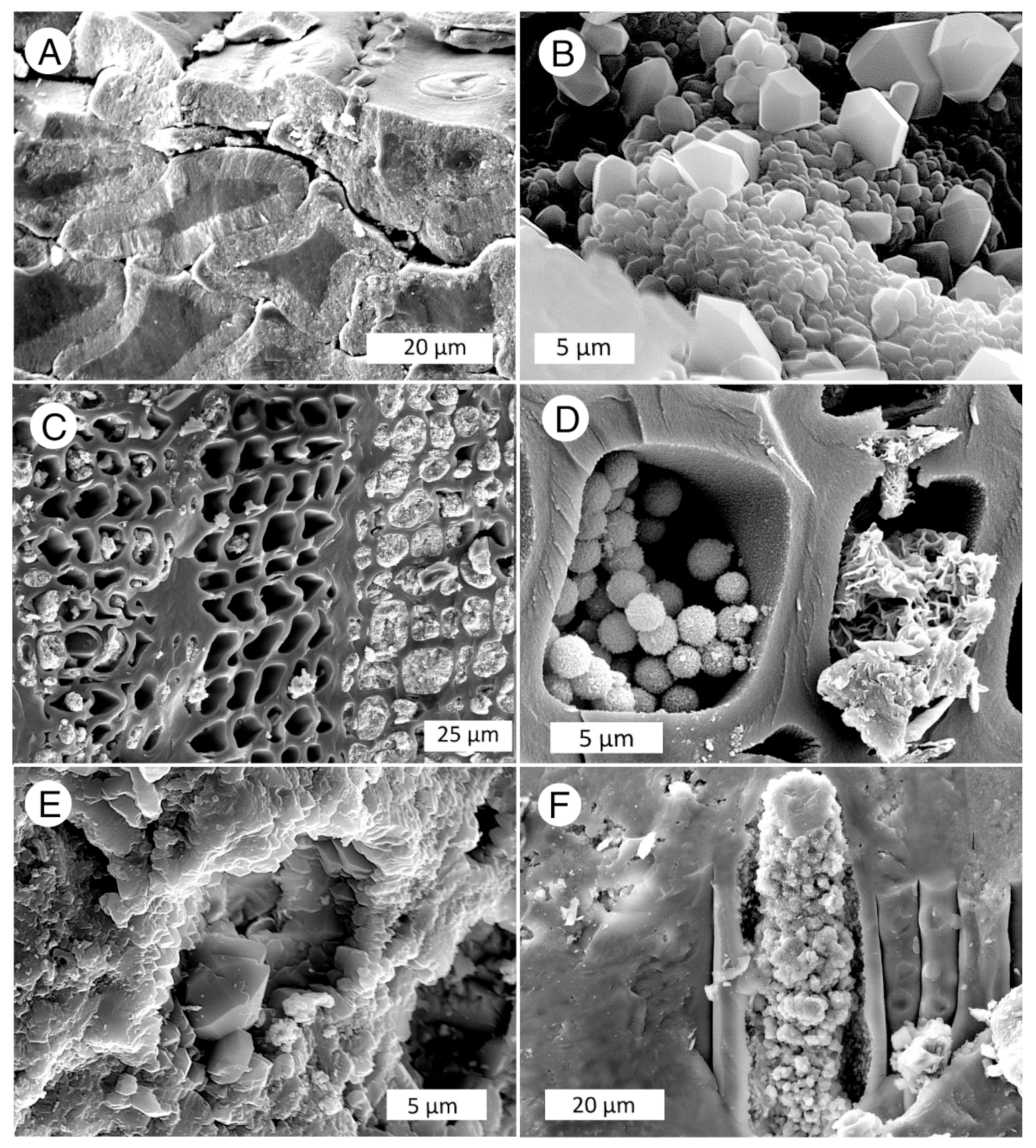 Minerals 13 00206 g035 Minerals 13 00206 g035