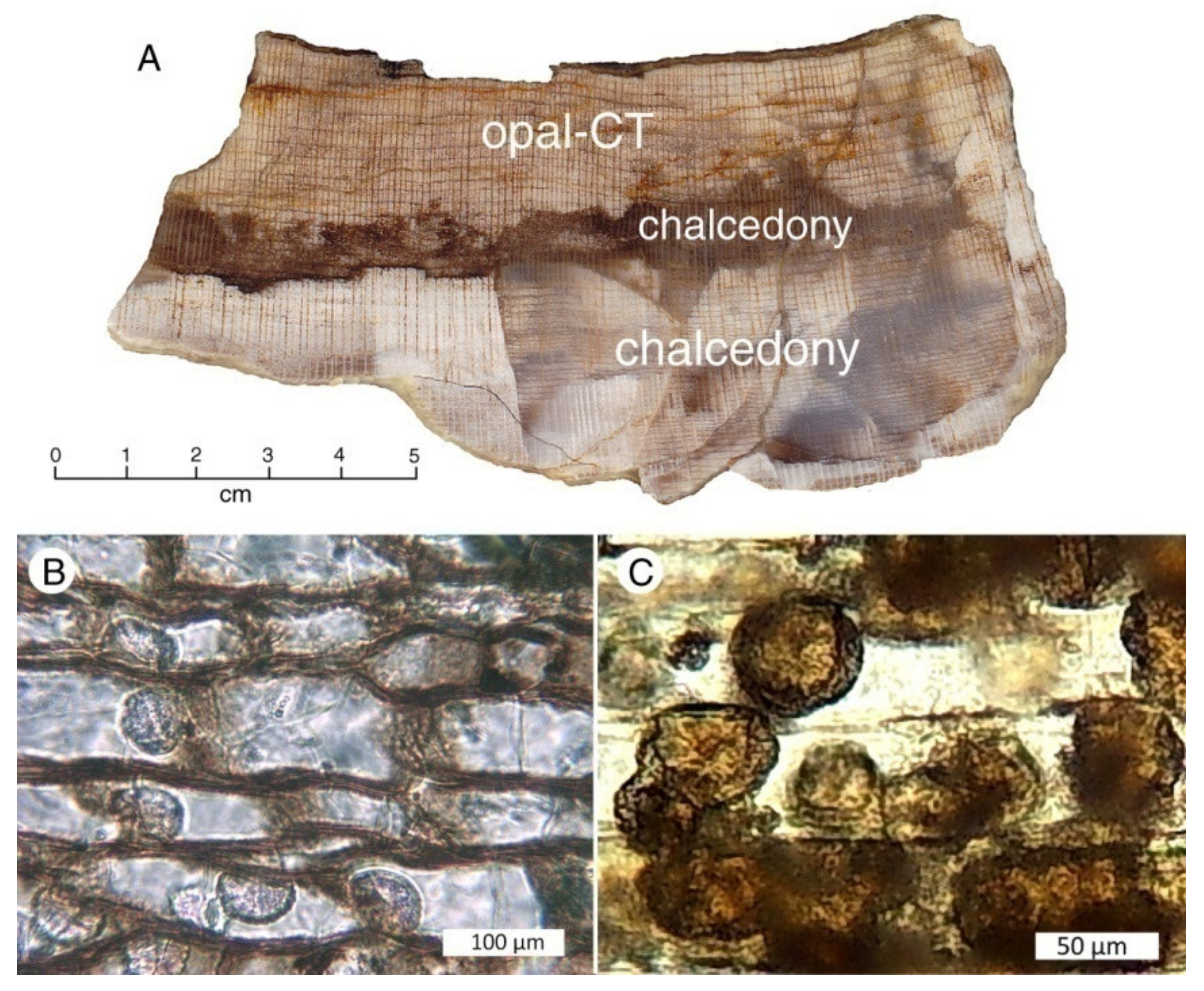 Minerals 13 00206 g042 Minerals 13 00206 g042