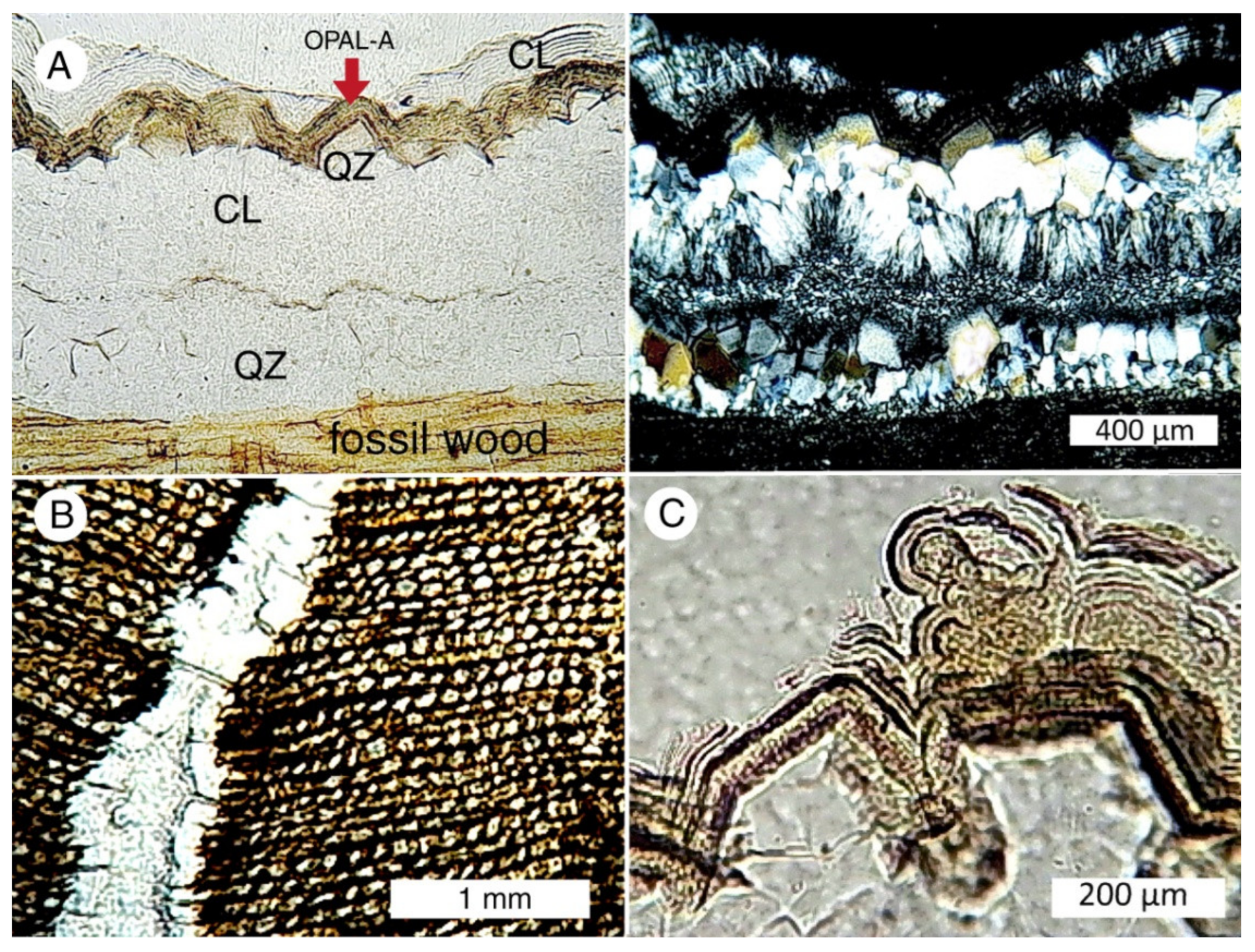 Minerals 13 00206 g043 Minerals 13 00206 g043