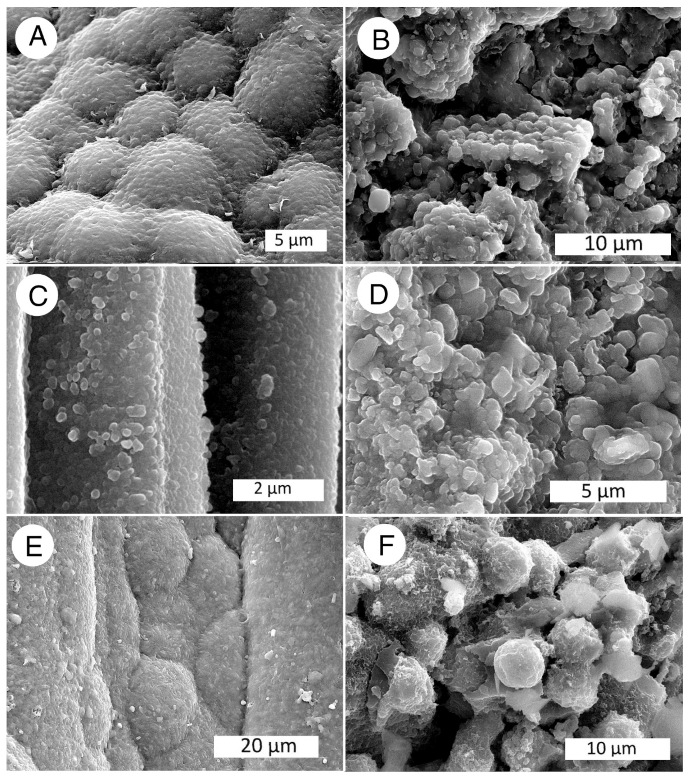 Minerals 13 00206 g044 Minerals 13 00206 g044