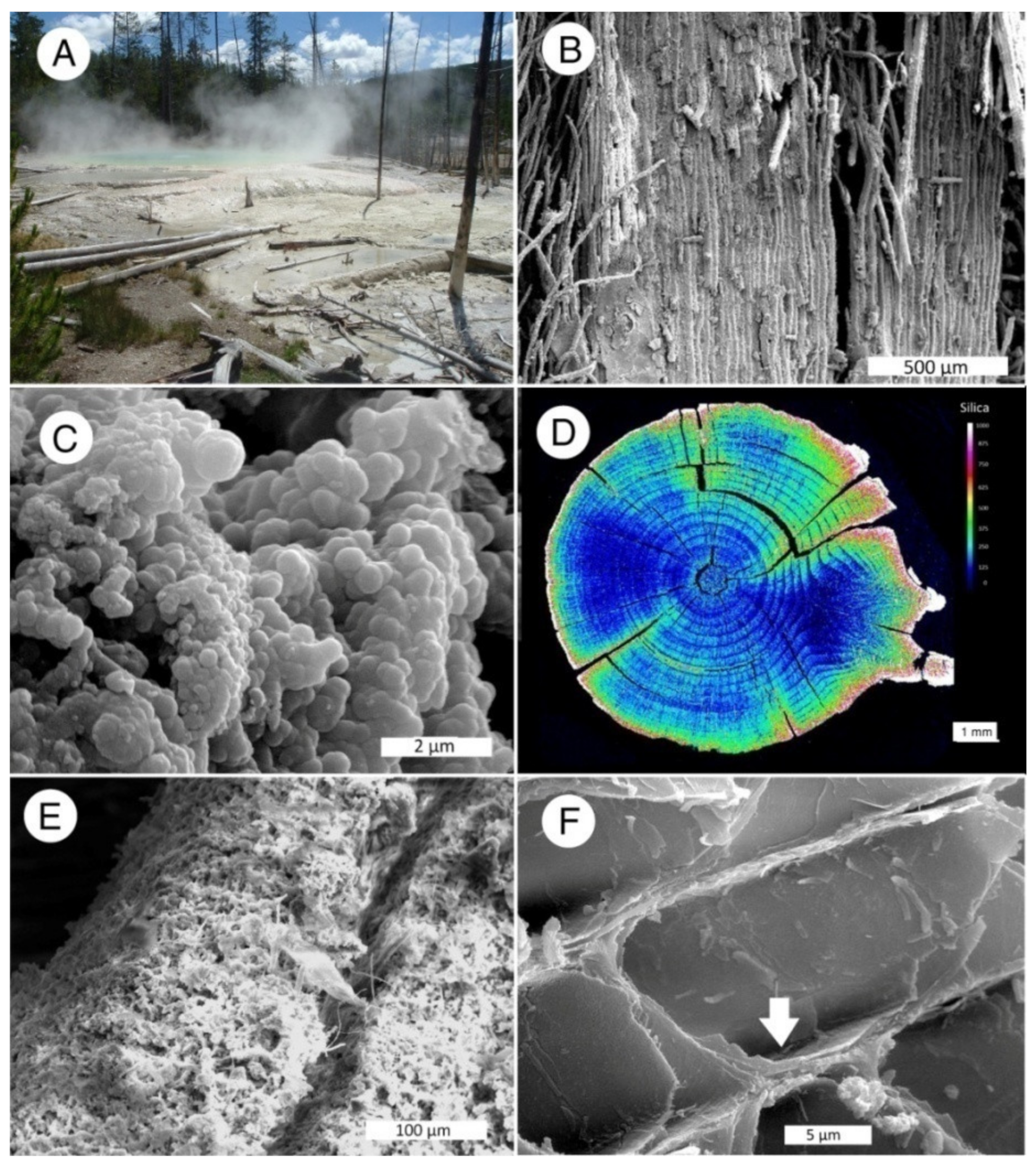 Minerals 13 00206 g045 Minerals 13 00206 g045