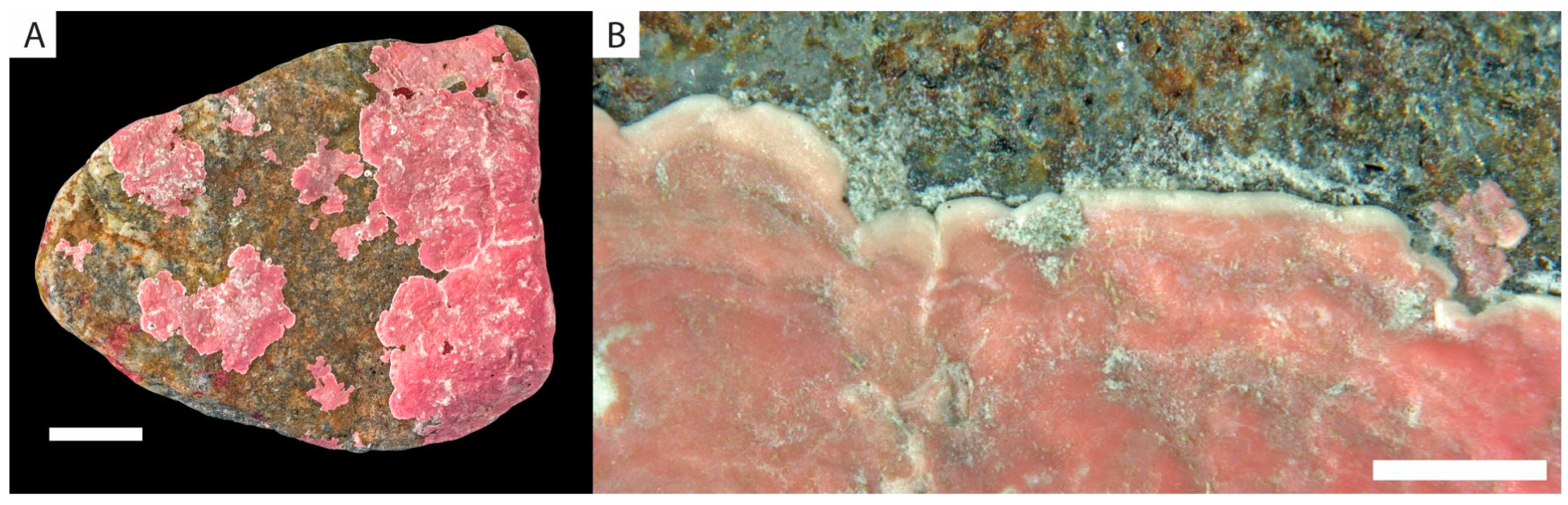 Minerals 13 00215 g001 Minerals 13 00215 g001