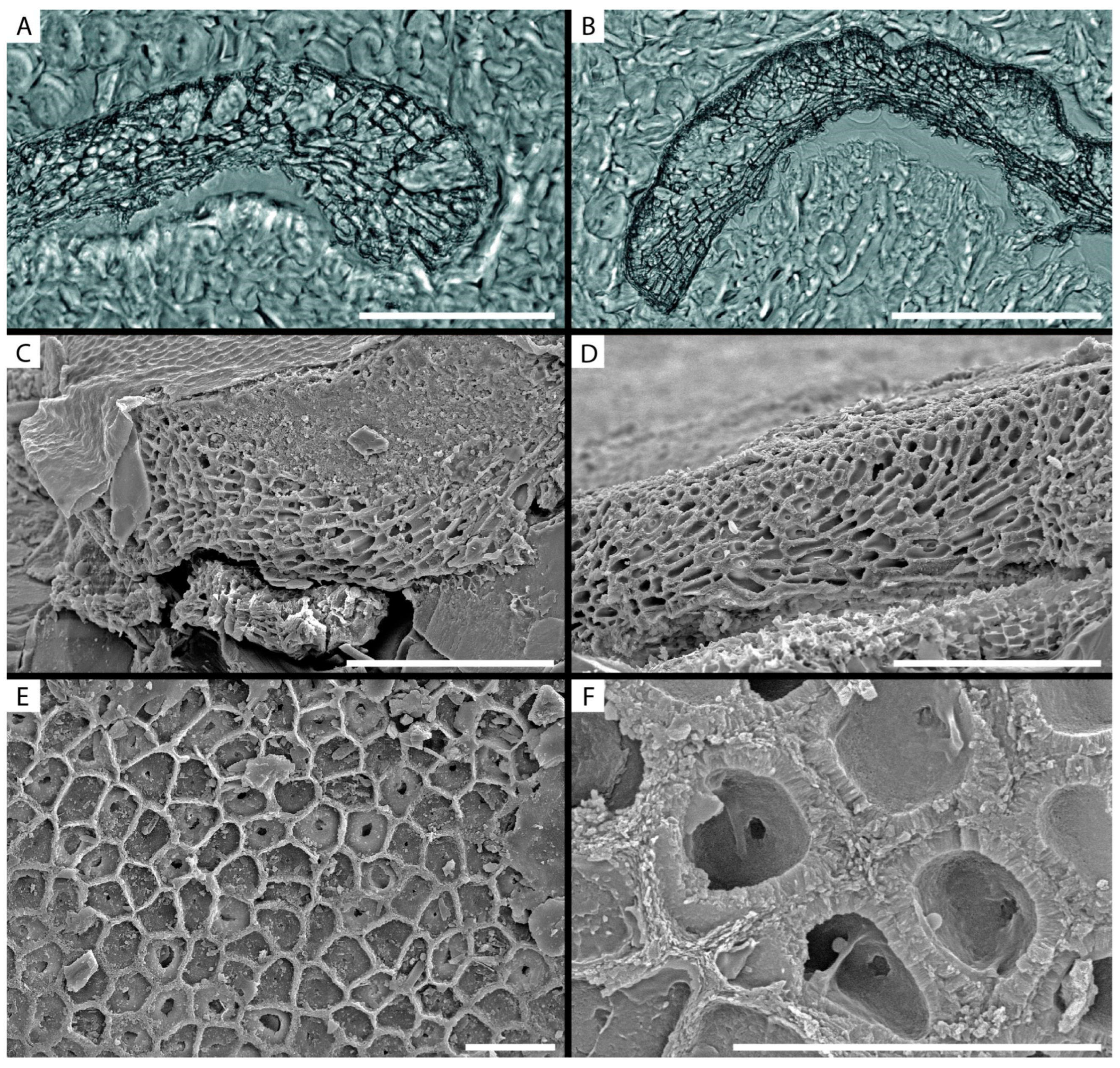 Minerals 13 00215 g002 Minerals 13 00215 g002