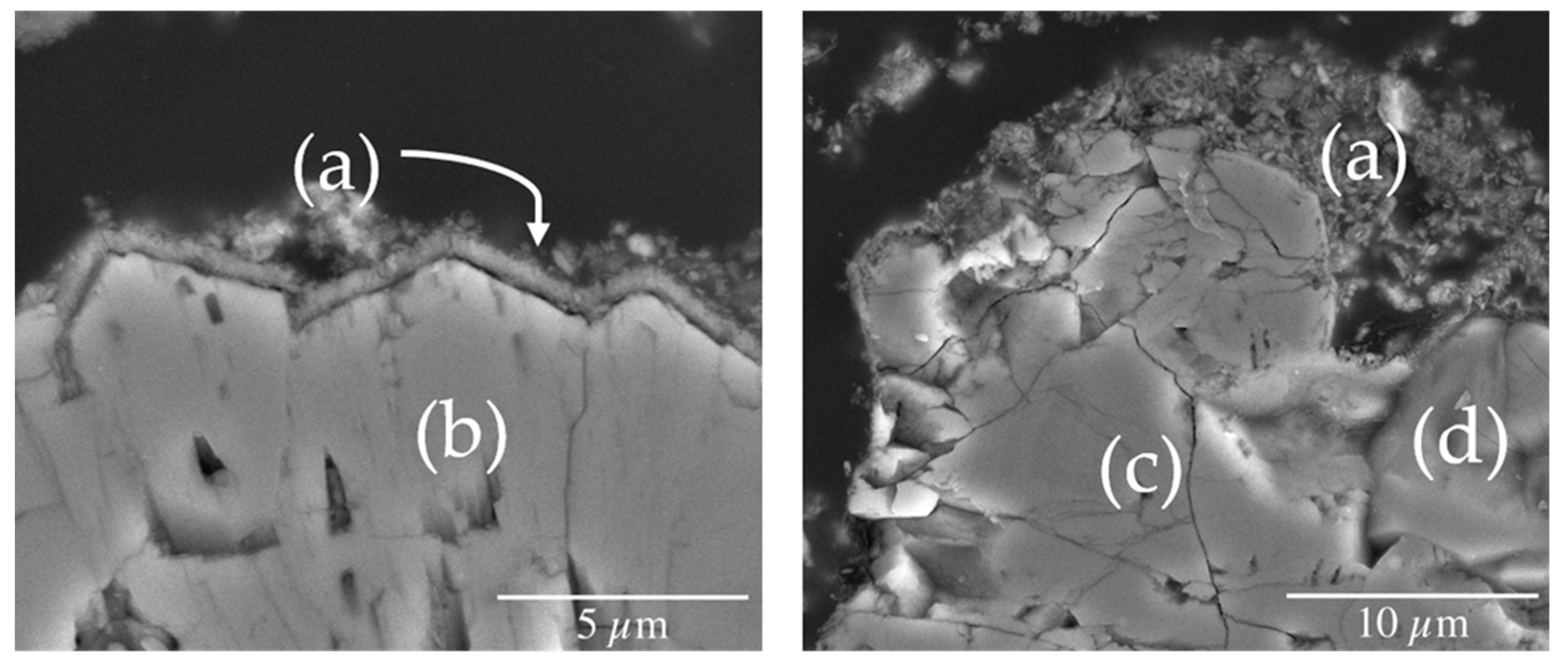 Minerals 13 00217 g006 550