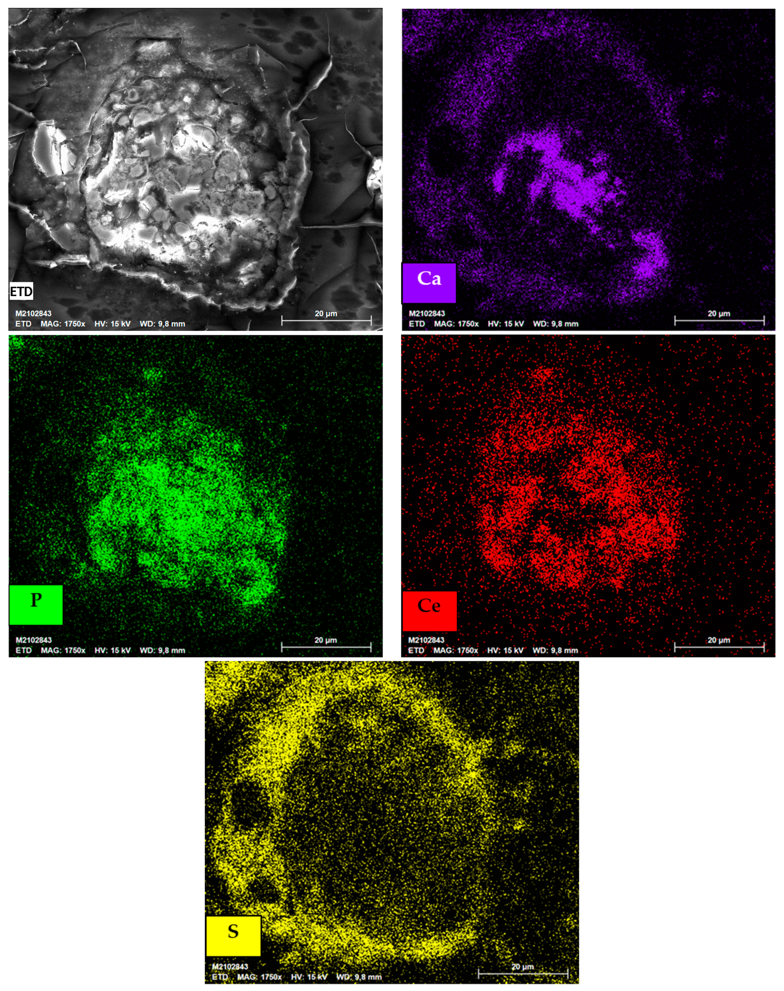 Minerals 13 00217 g009 550