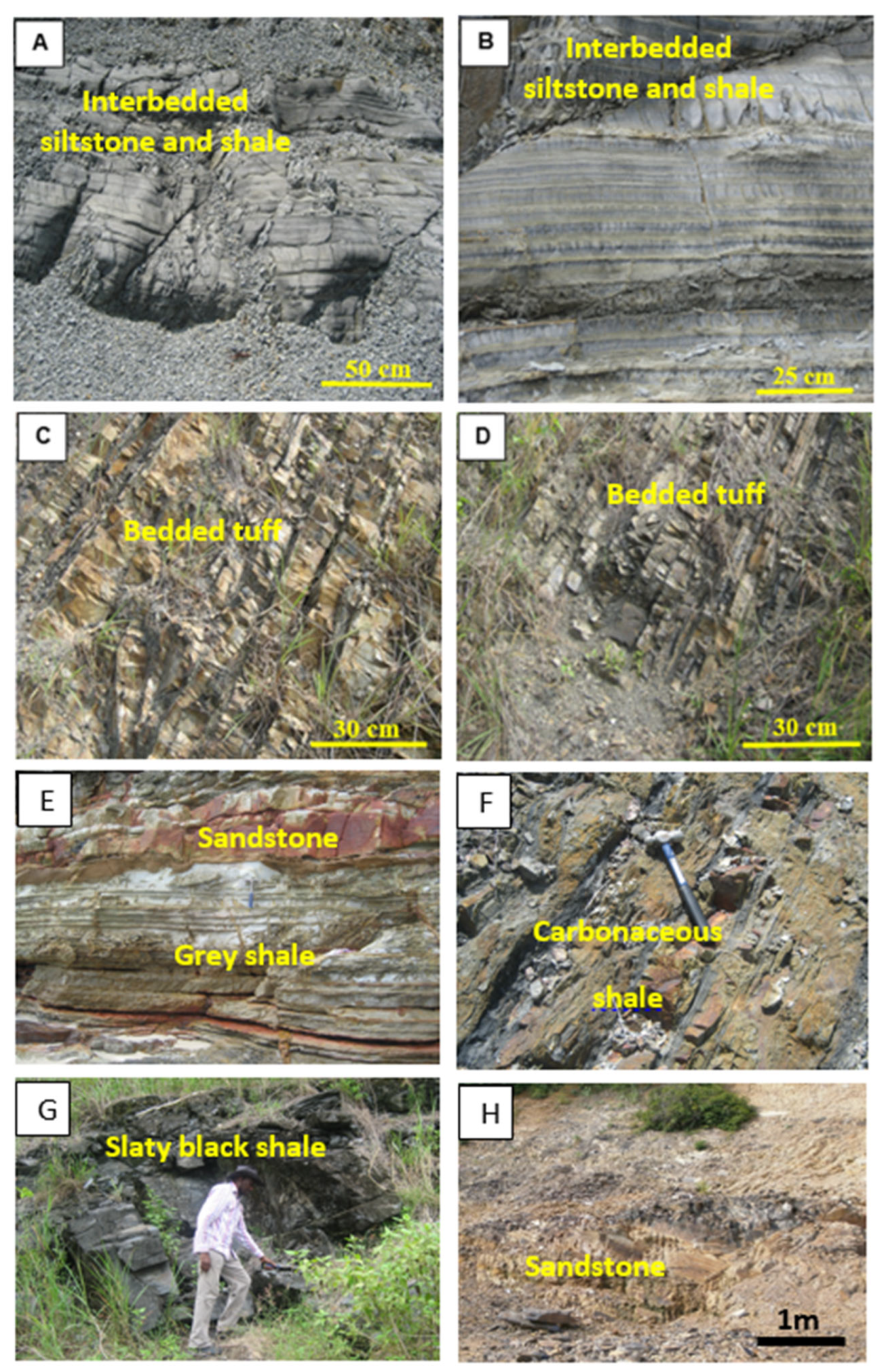 Minerals 13 00221 g005 Minerals 13 00221 g005