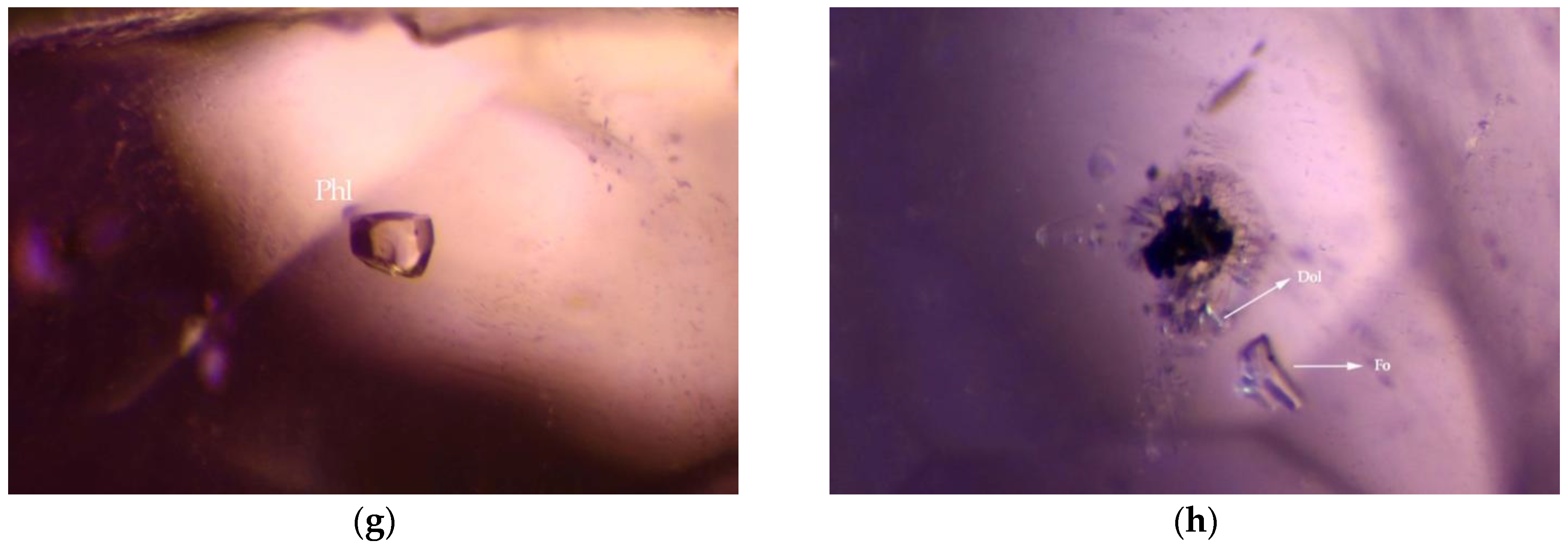 Minerals 13 00226 g004b 550