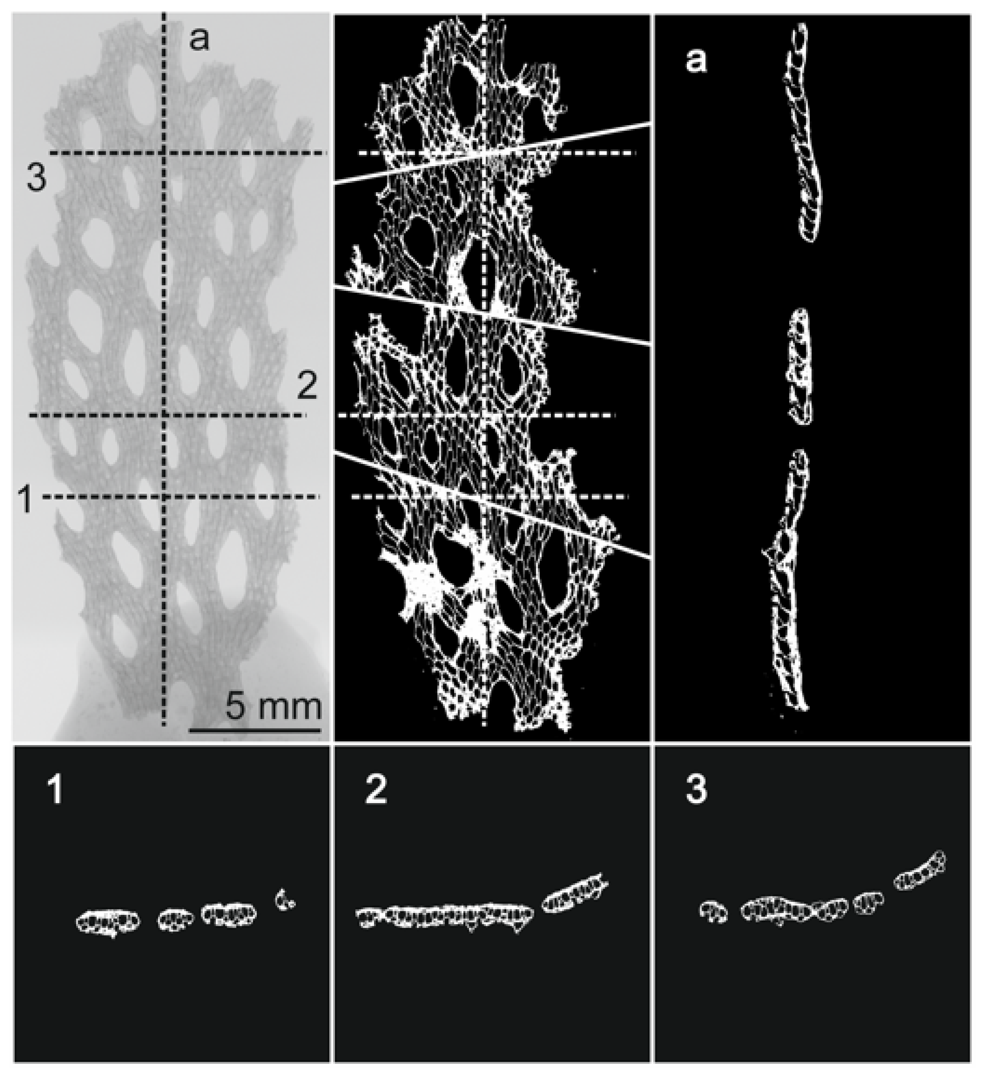 Minerals 13 00246 g007 Minerals 13 00246 g007