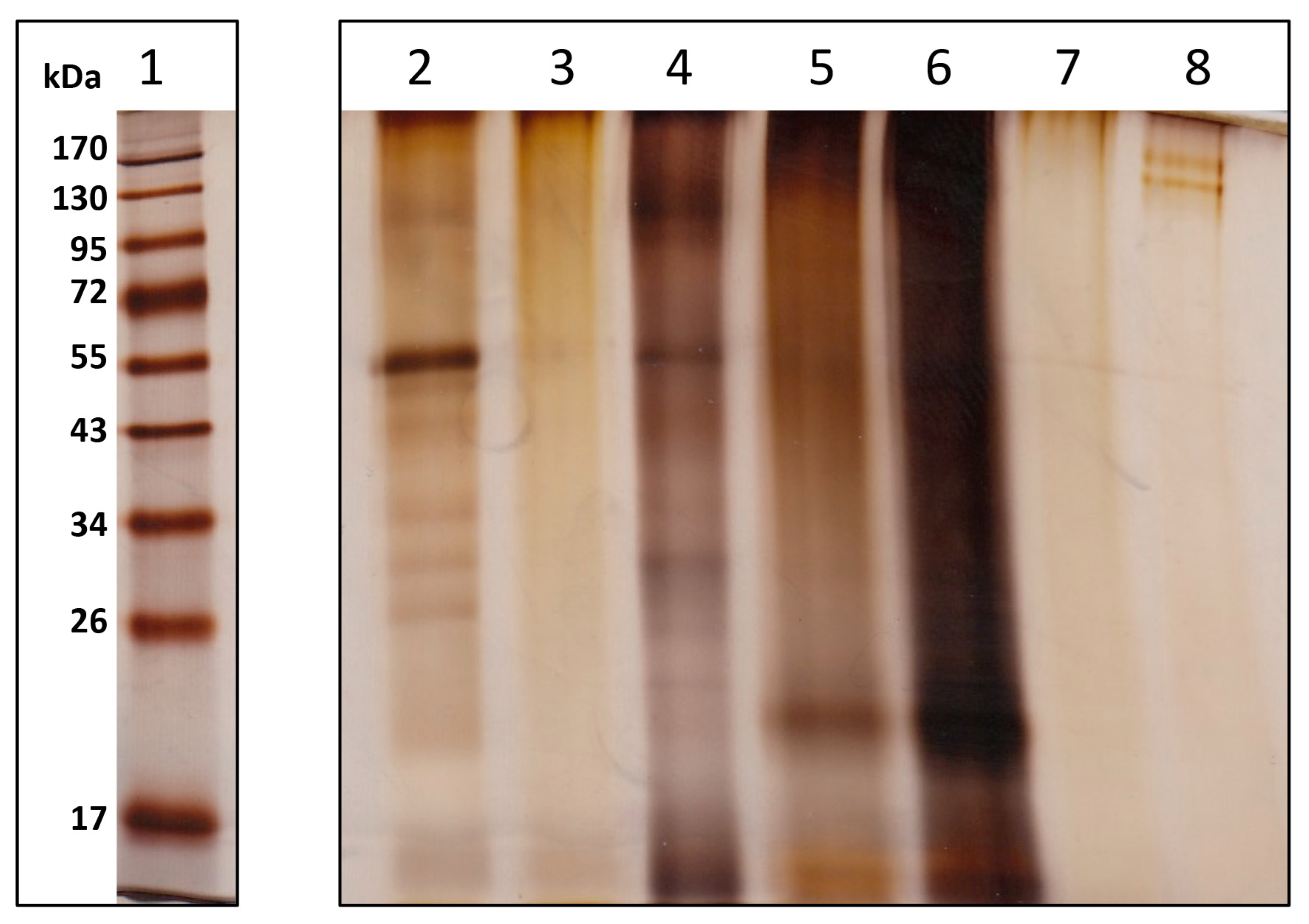 Minerals 13 00246 g008 Minerals 13 00246 g008