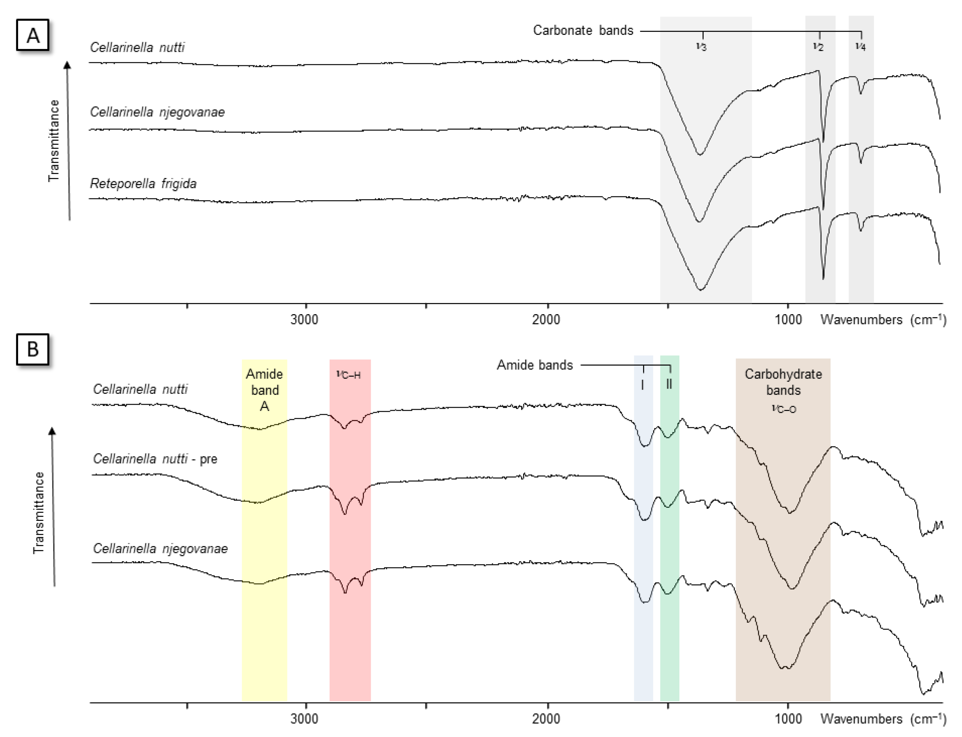Minerals 13 00246 g009 Minerals 13 00246 g009