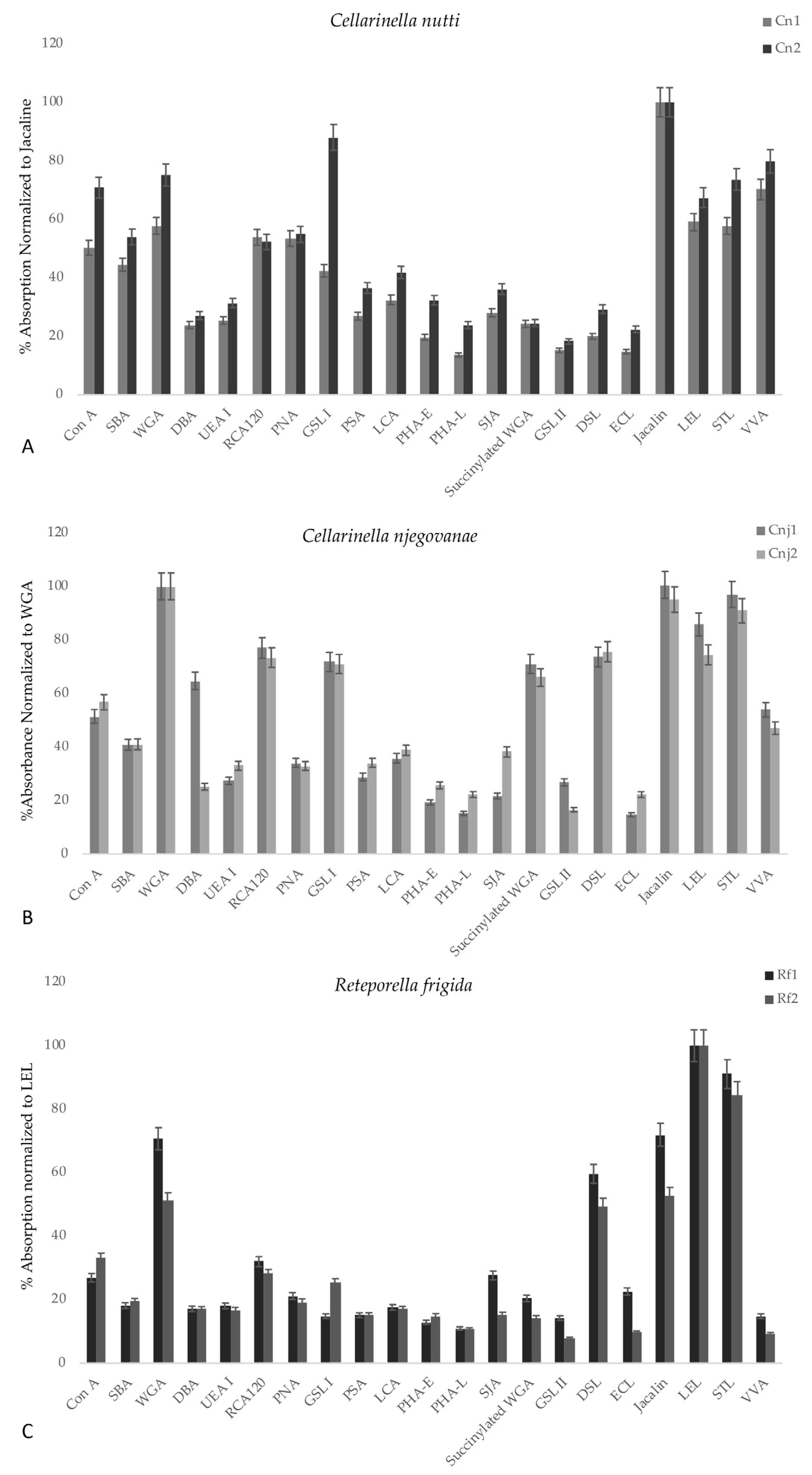 Minerals 13 00246 g010 Minerals 13 00246 g010