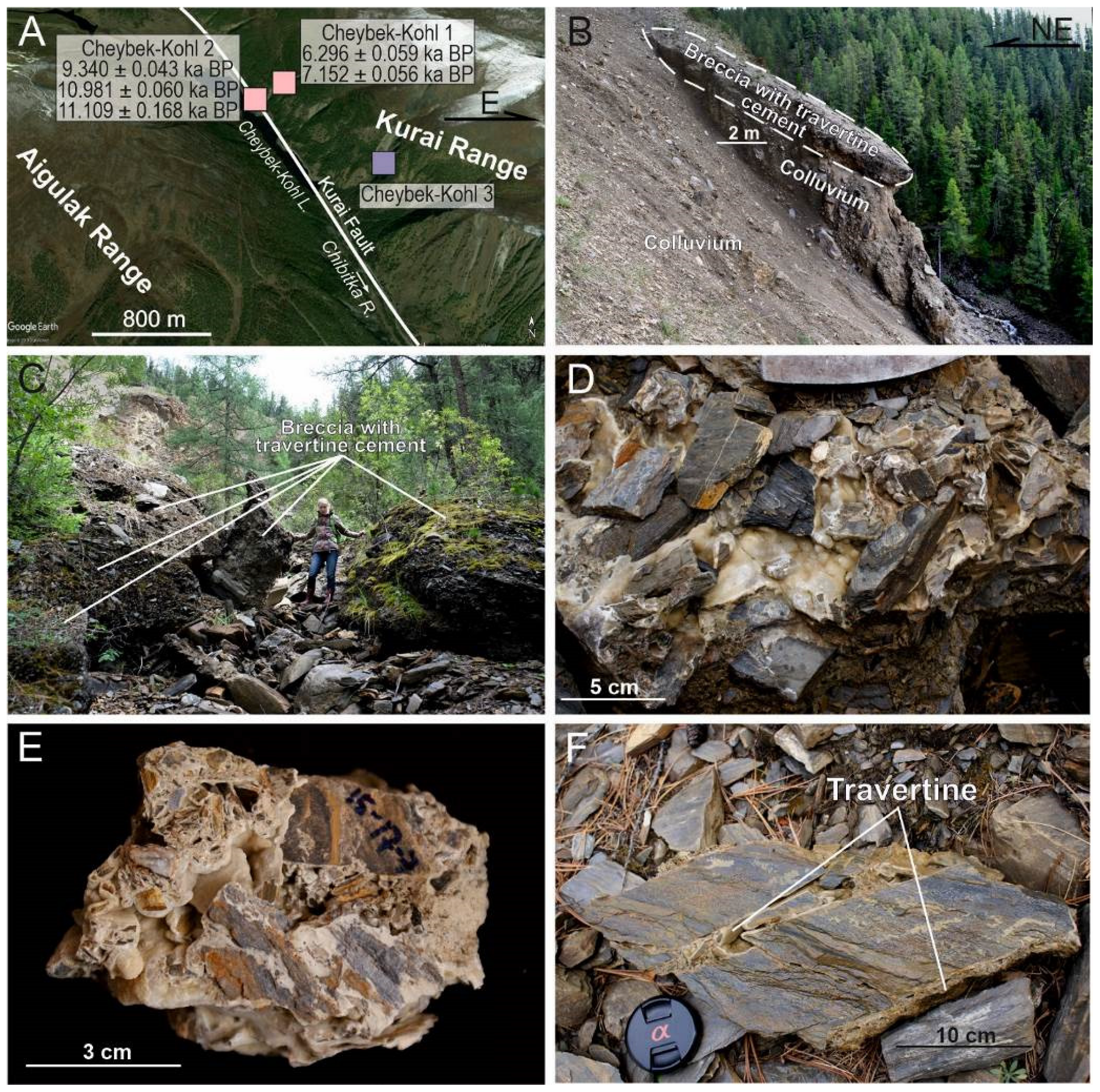 Minerals 13 00259 g003 550