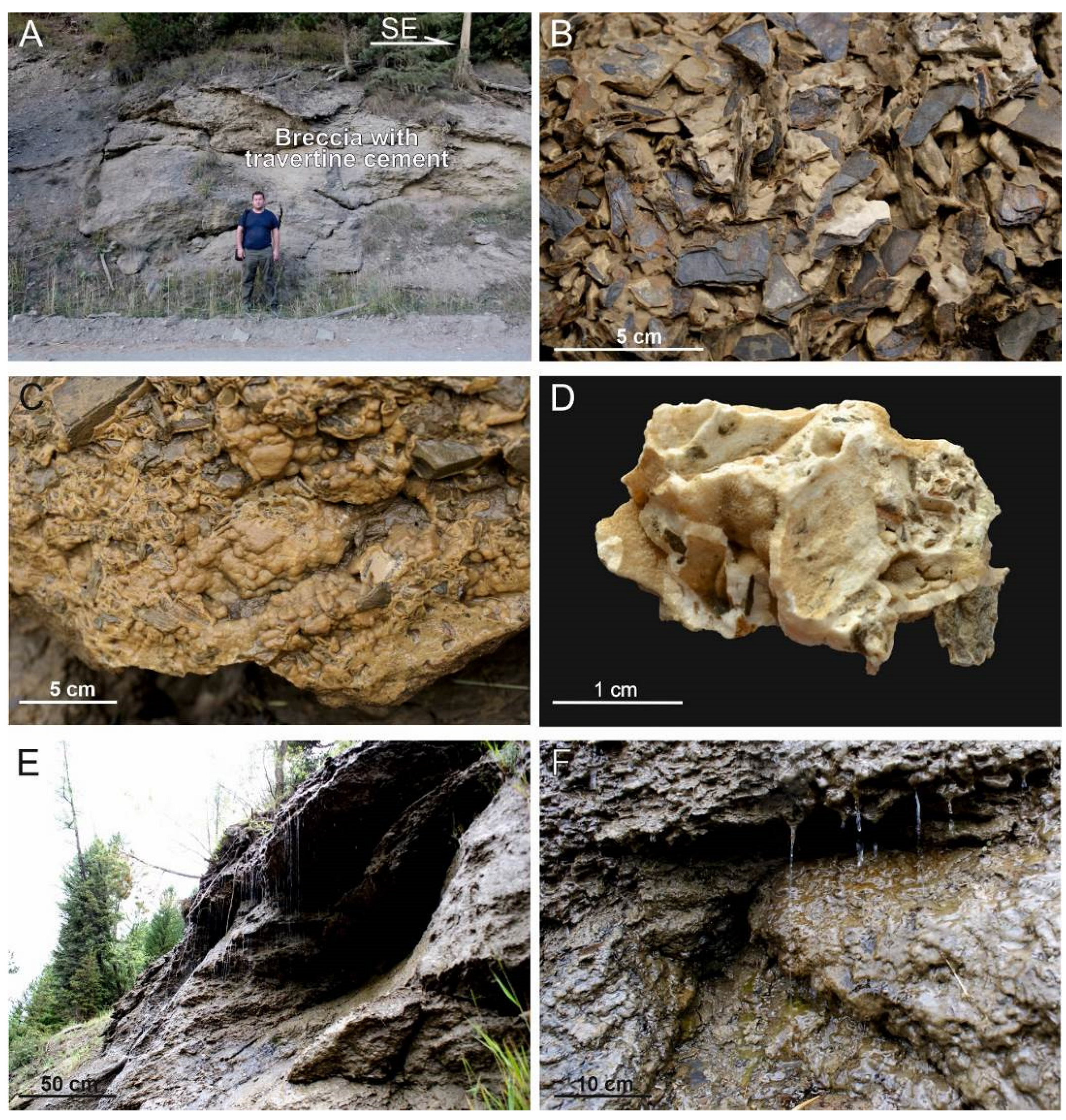 Minerals 13 00259 g004 550