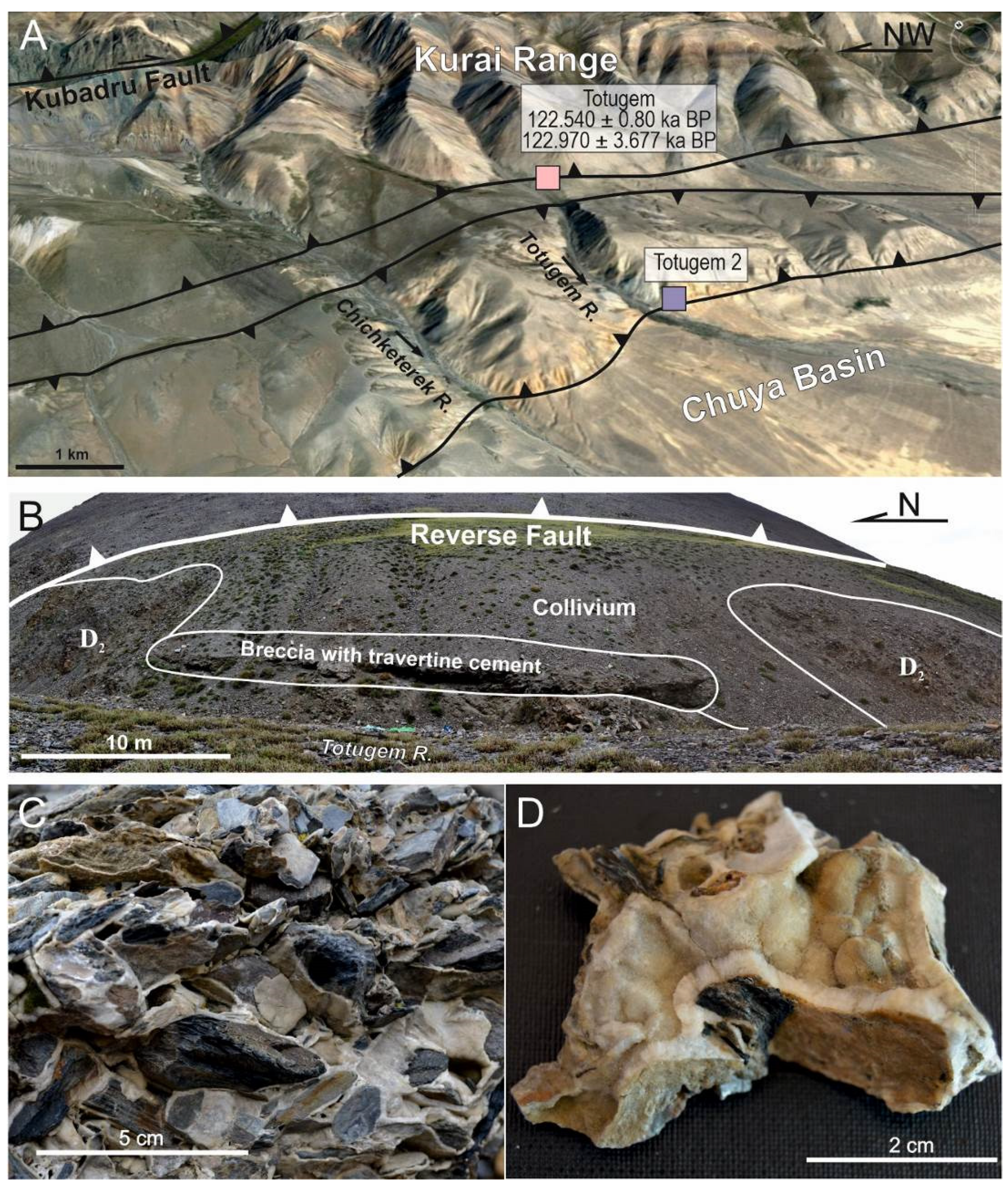 Minerals 13 00259 g007 550