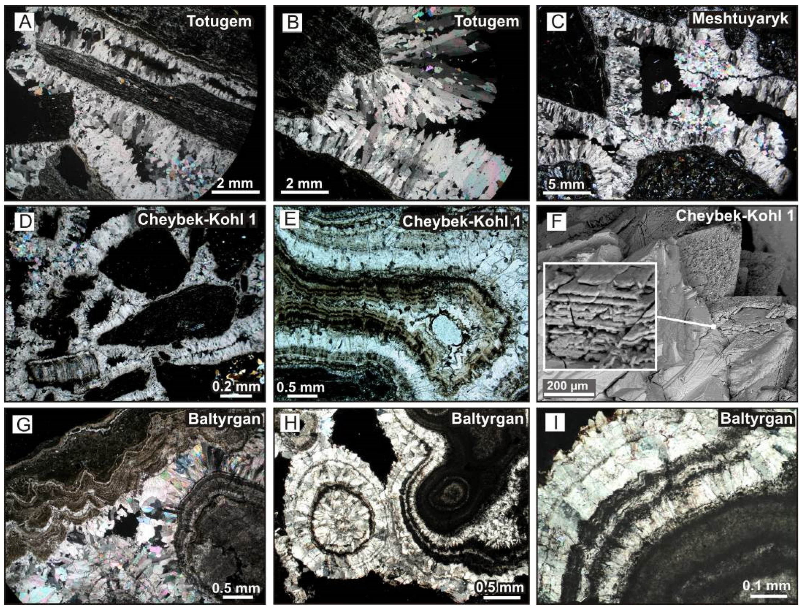 Minerals 13 00259 g012 550