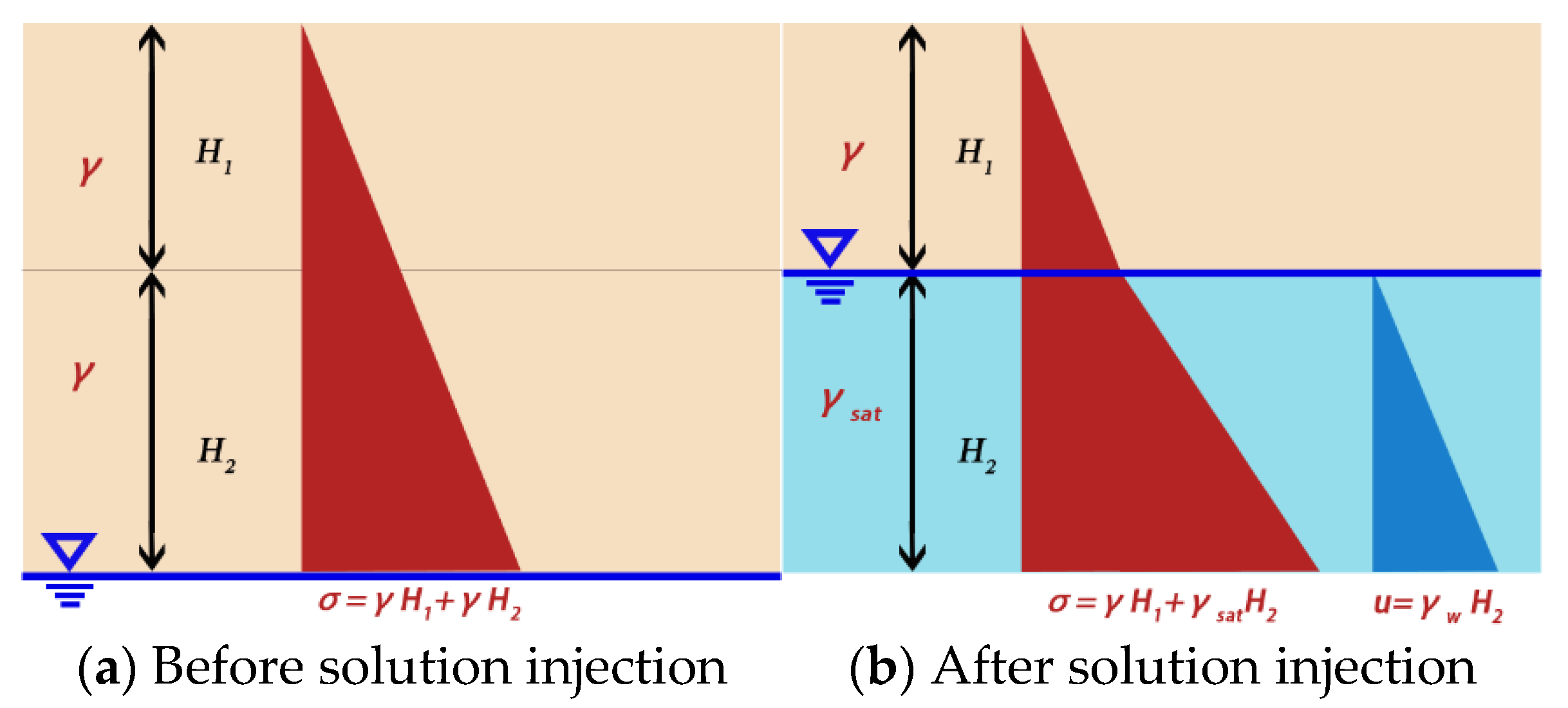 コレクション colorful An elite γ‐gliadin allele improves end‐use quality in wheat