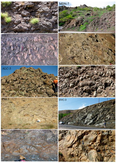 Major and Trace Element Compositions of Clinopyroxene Phenocrysts in ...
